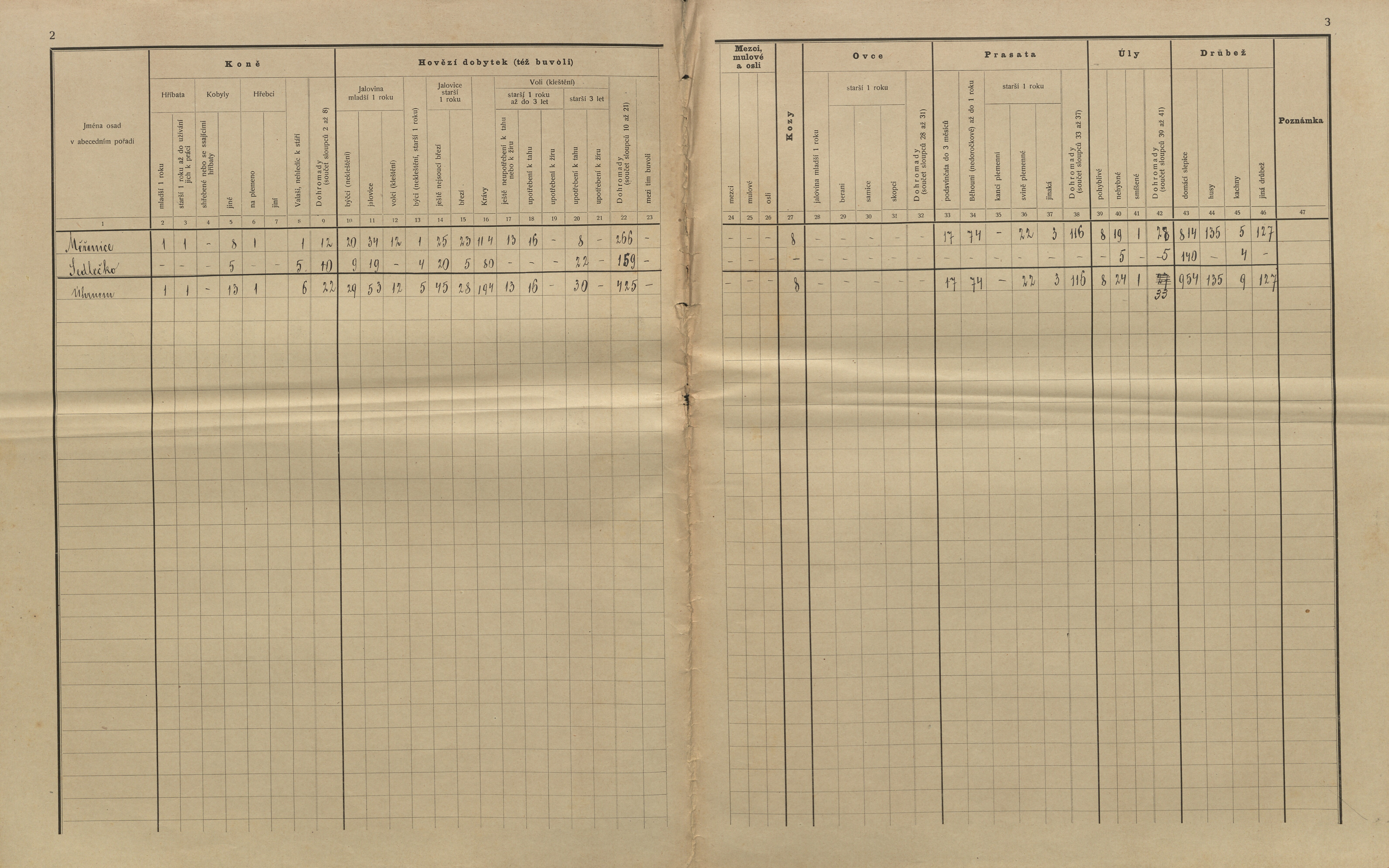 13. soap-kt_01159_census-sum-1910-mirenice-sedlecko_0130