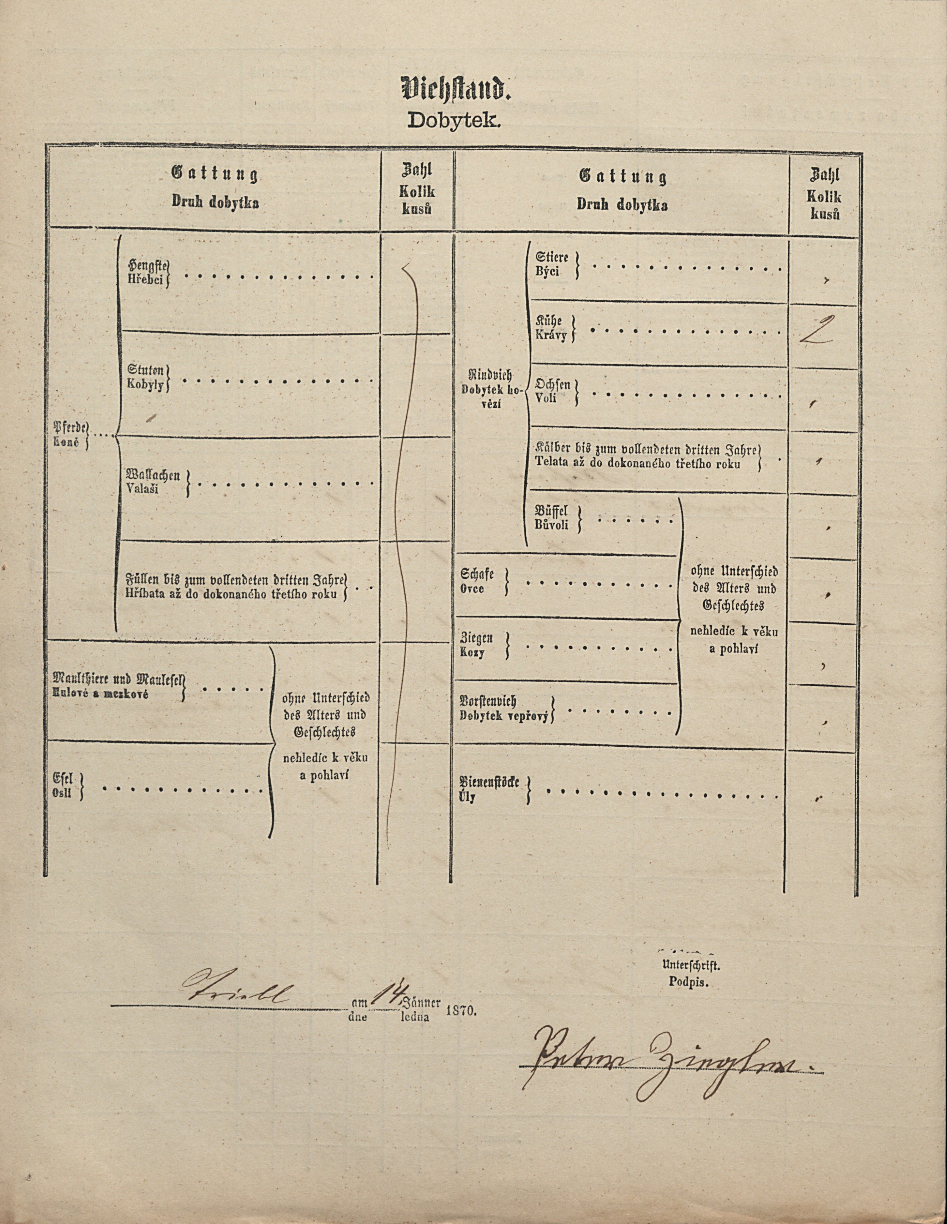 3. soap-tc_00191_census-1869-trebel-cp031_0030