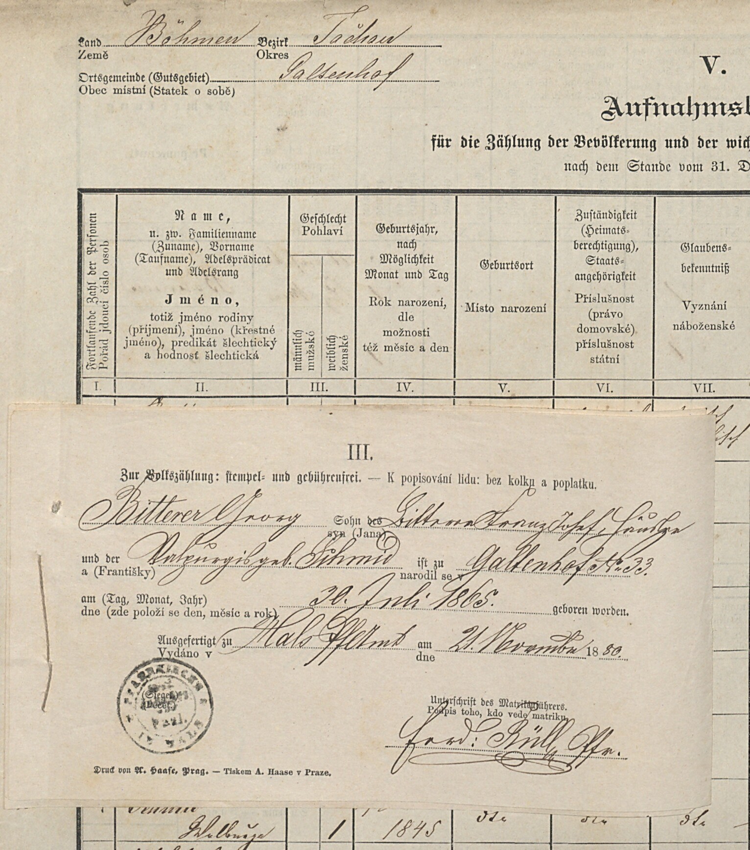 2. soap-tc_00192_census-1880-branka-cp033_0020