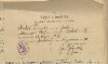 3. soap-pj_00302_census-1910-oplot-cp005_0030