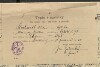 3. soap-pj_00302_census-1910-oplot-cp075_0030
