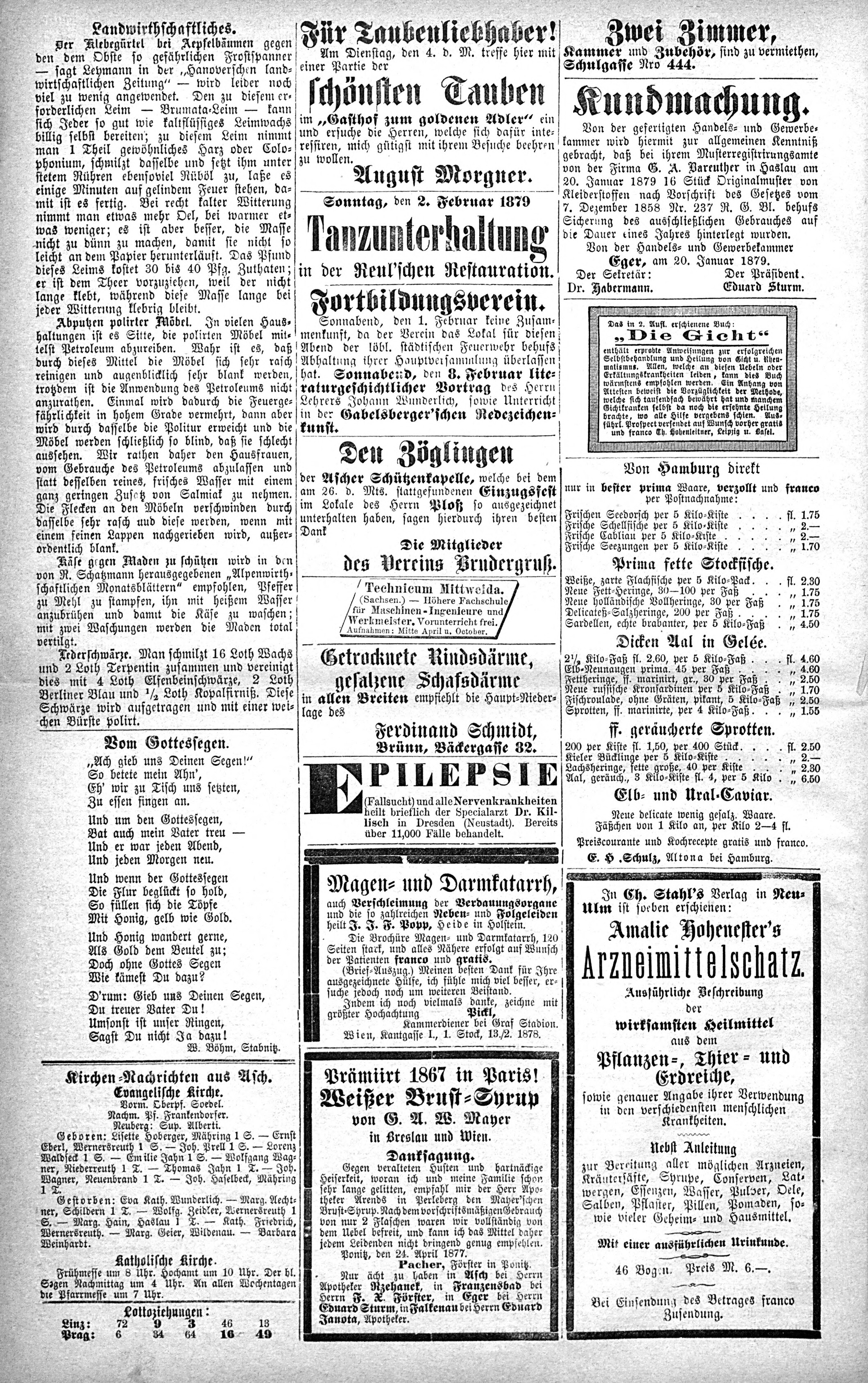 6. soap-ch_knihovna_ascher-zeitung-1879-02-01-n5_0180