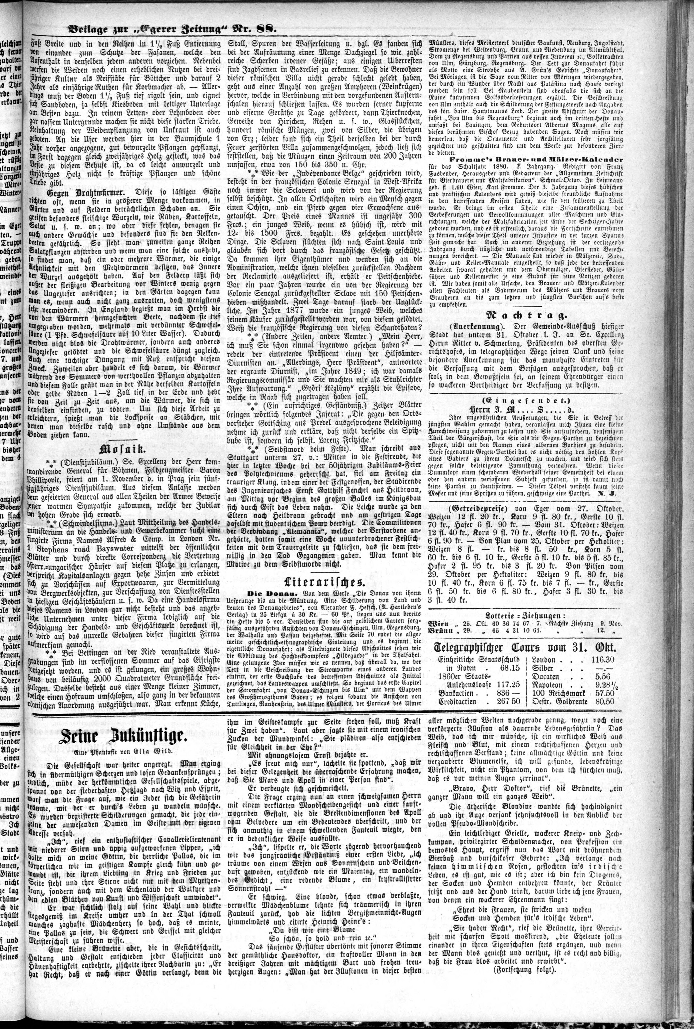 3. egerer-zeitung-1879-11-01-n88_2545