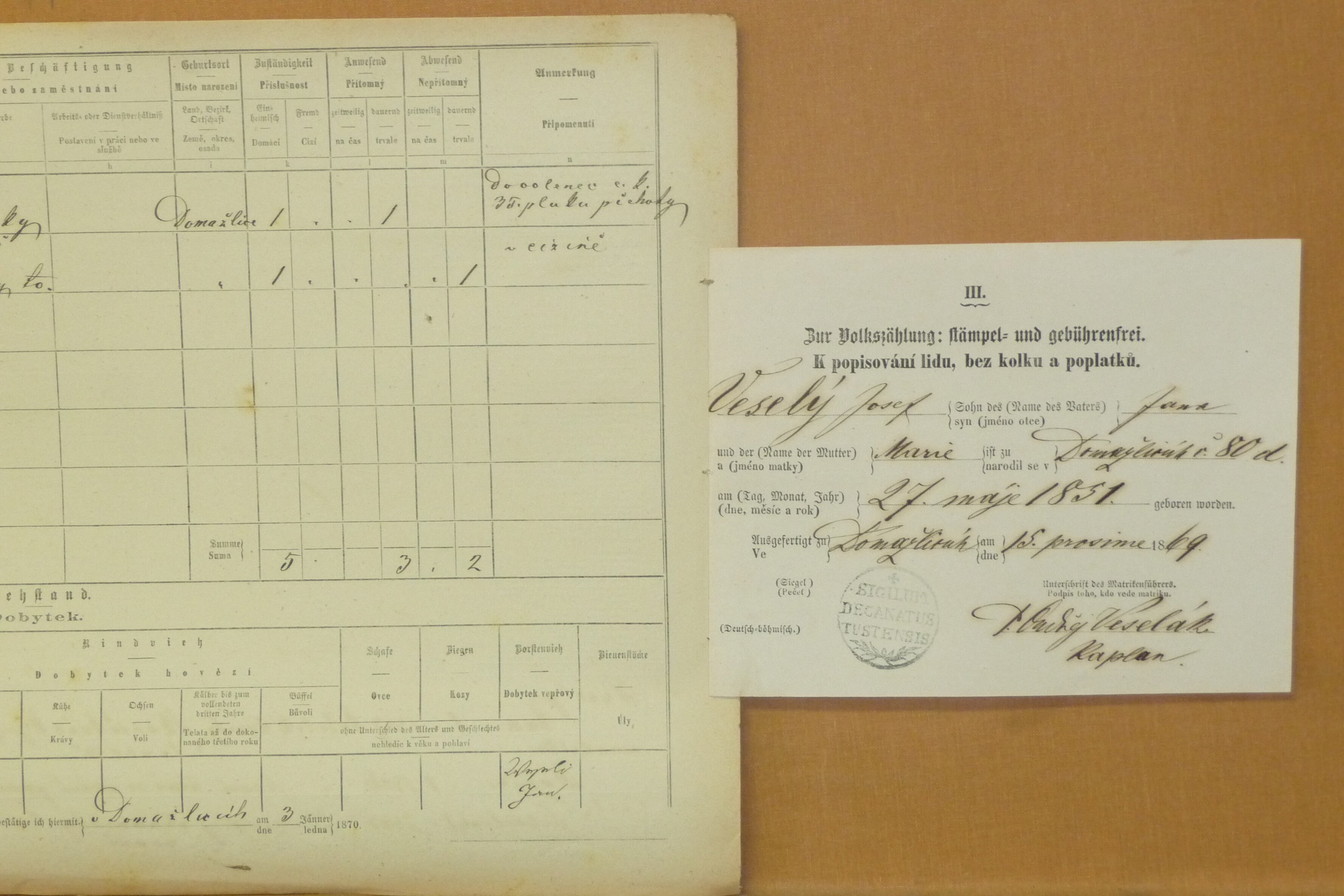 11. soap-do_00592_census-1869-domazlice-dolejsi-predmesti-cp073_0110