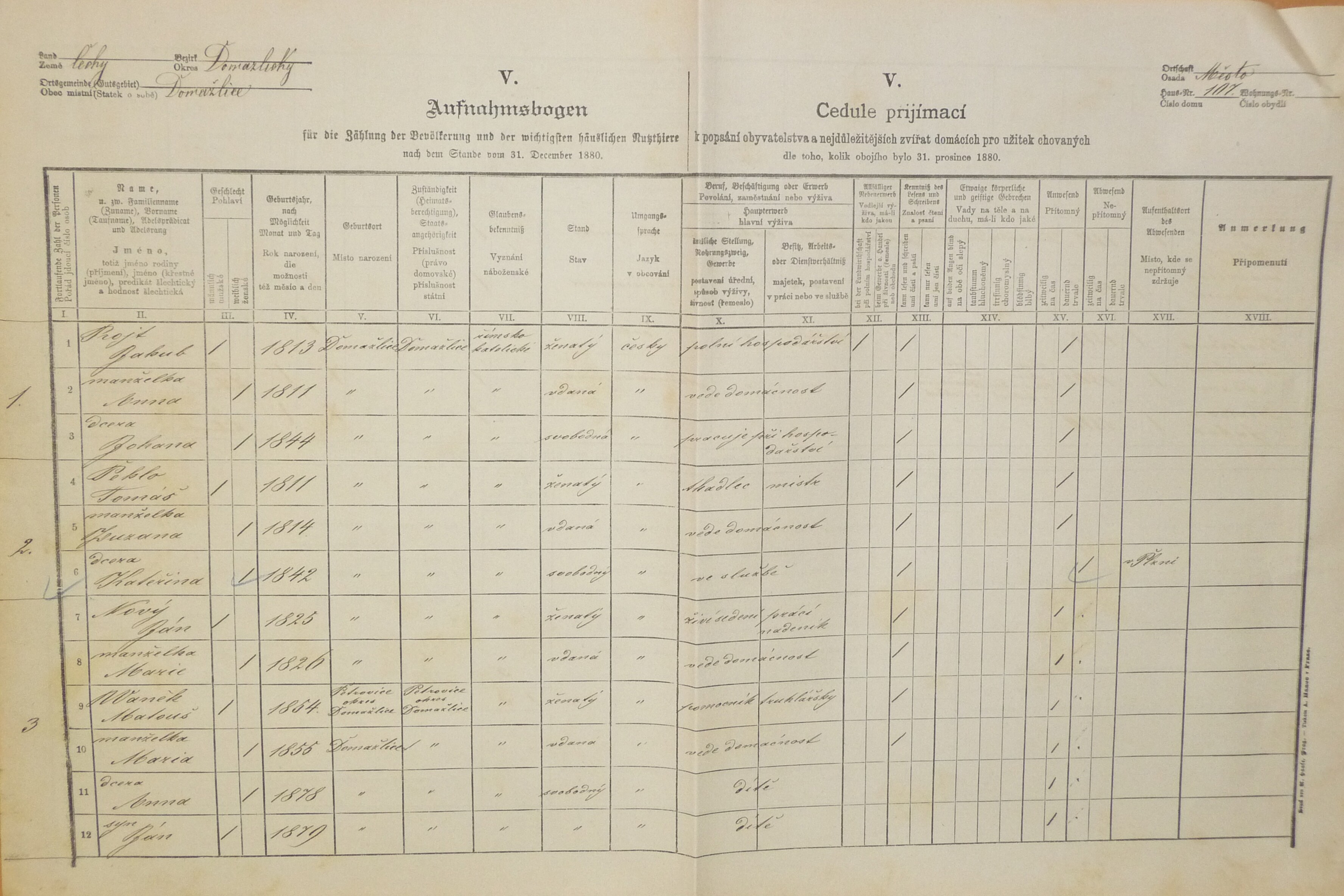 1. soap-do_00592_census-1880-domazlice-mesto-cp107_0010