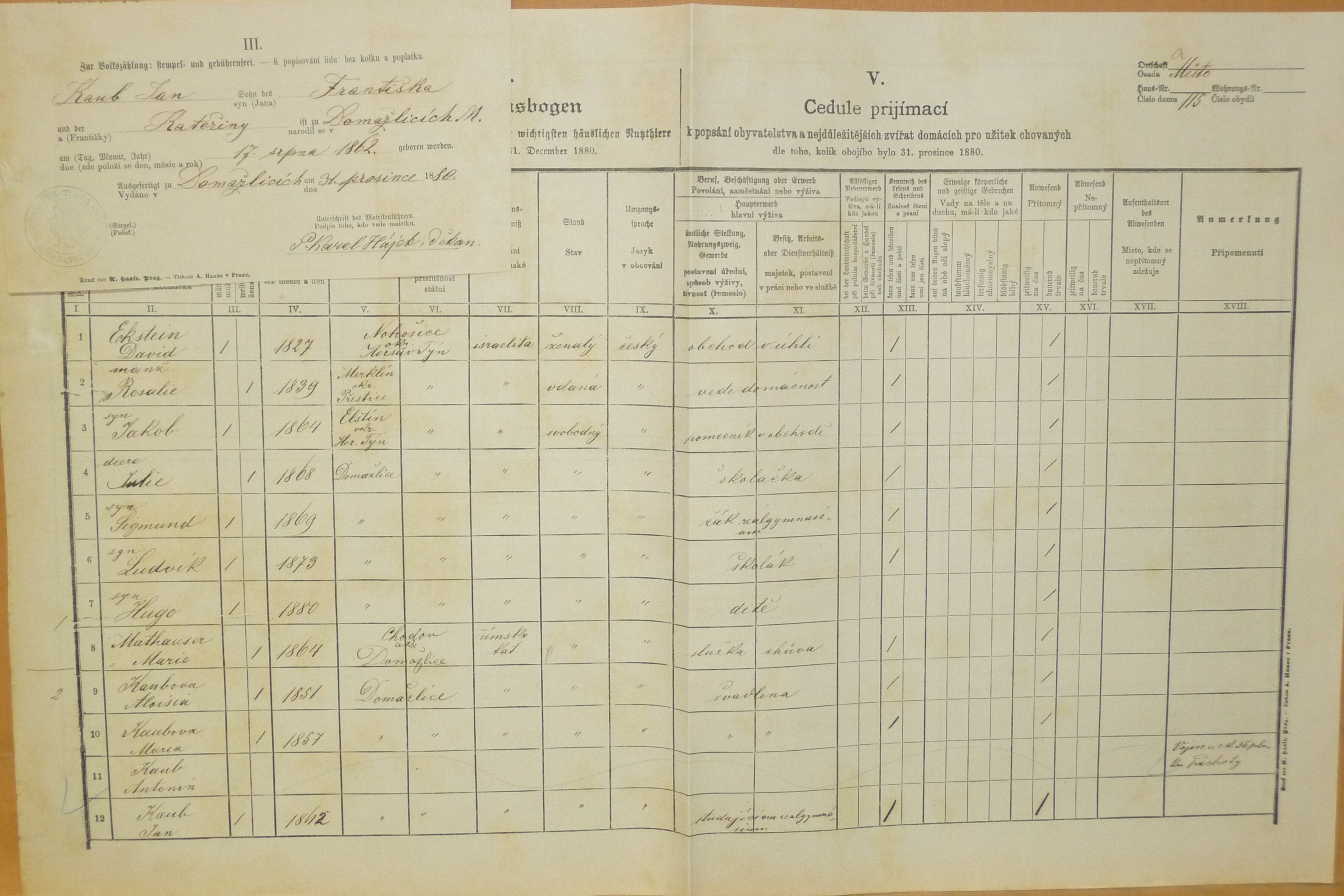 1. soap-do_00592_census-1880-domazlice-mesto-cp115_0010