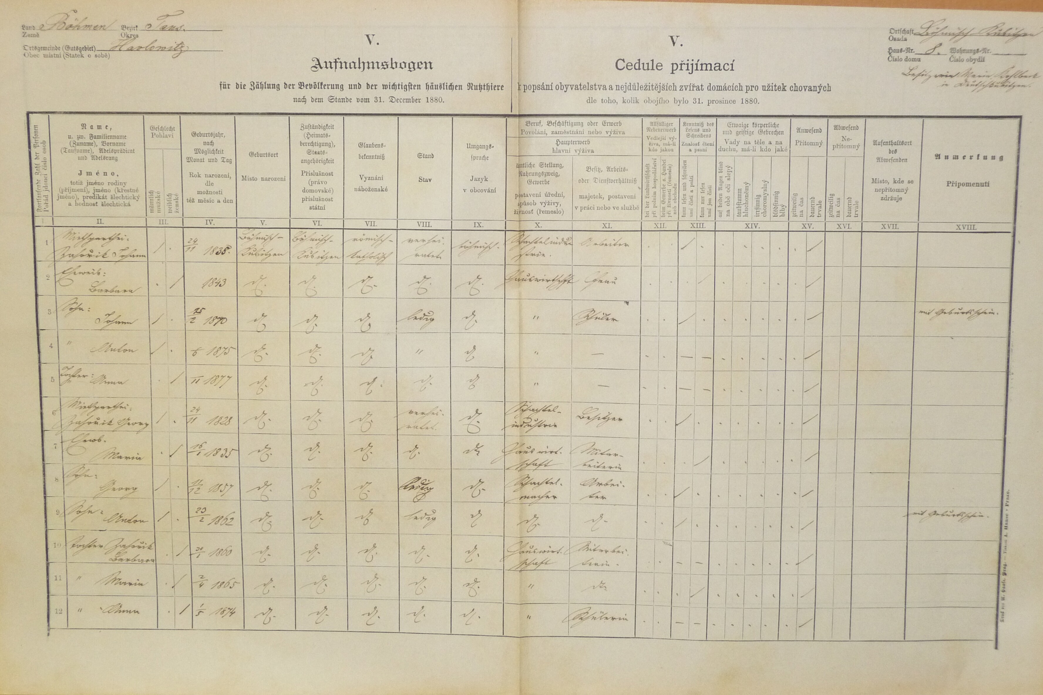 1. soap-do_00592_census-1880-havlovice-ceska-kubice-cp008_0010