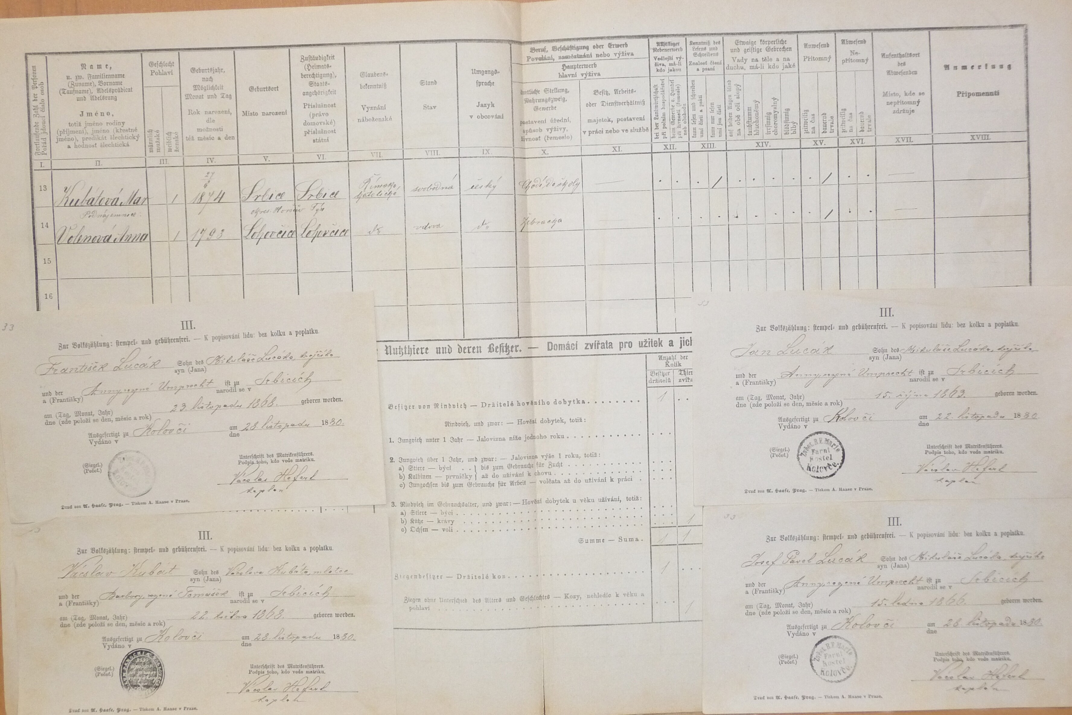 2. soap-do_00592_census-1880-srbice-cp033_0020