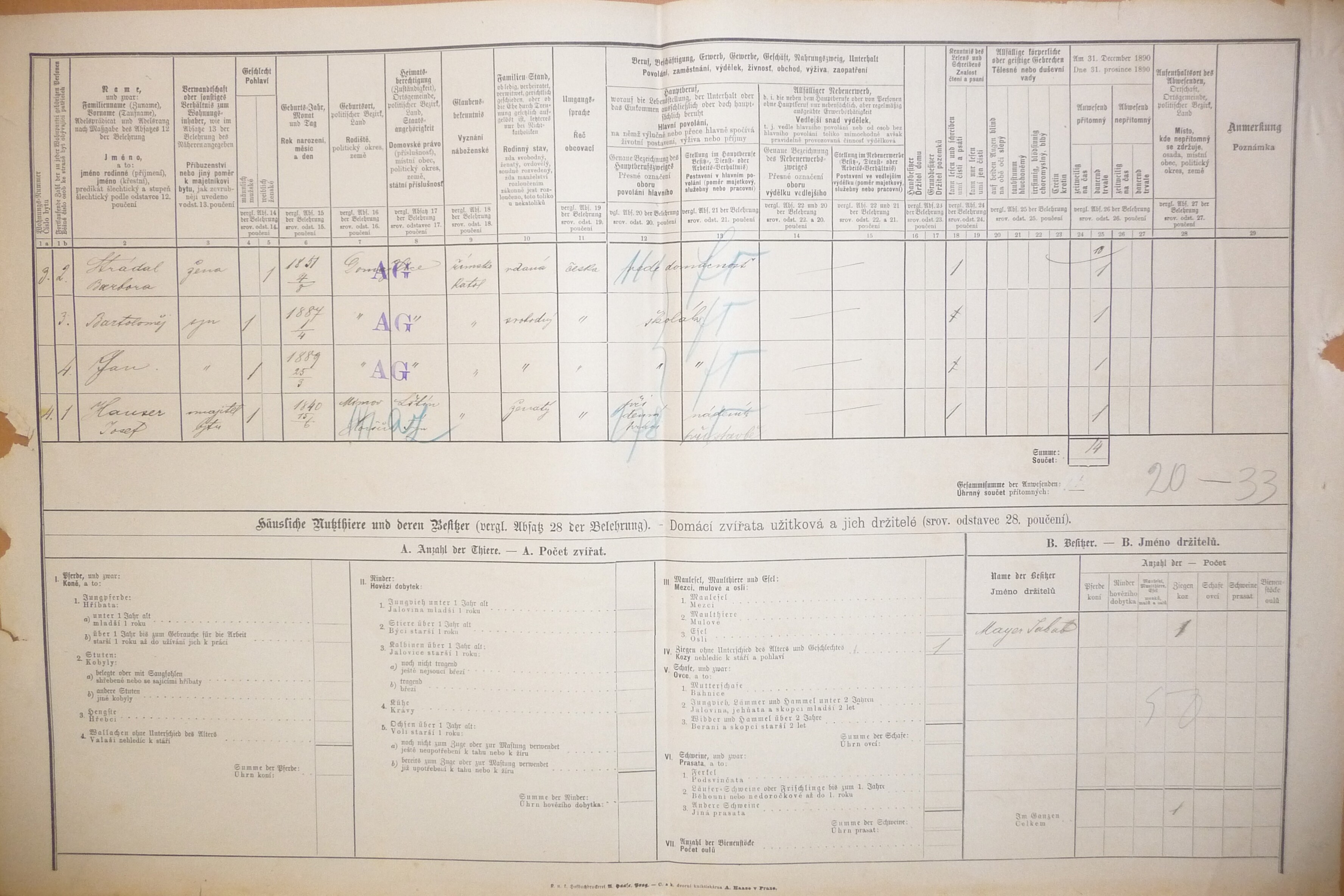 3. soap-do_00592_census-1890-domazlice-bezdekovske-predmesti-cp096_0030