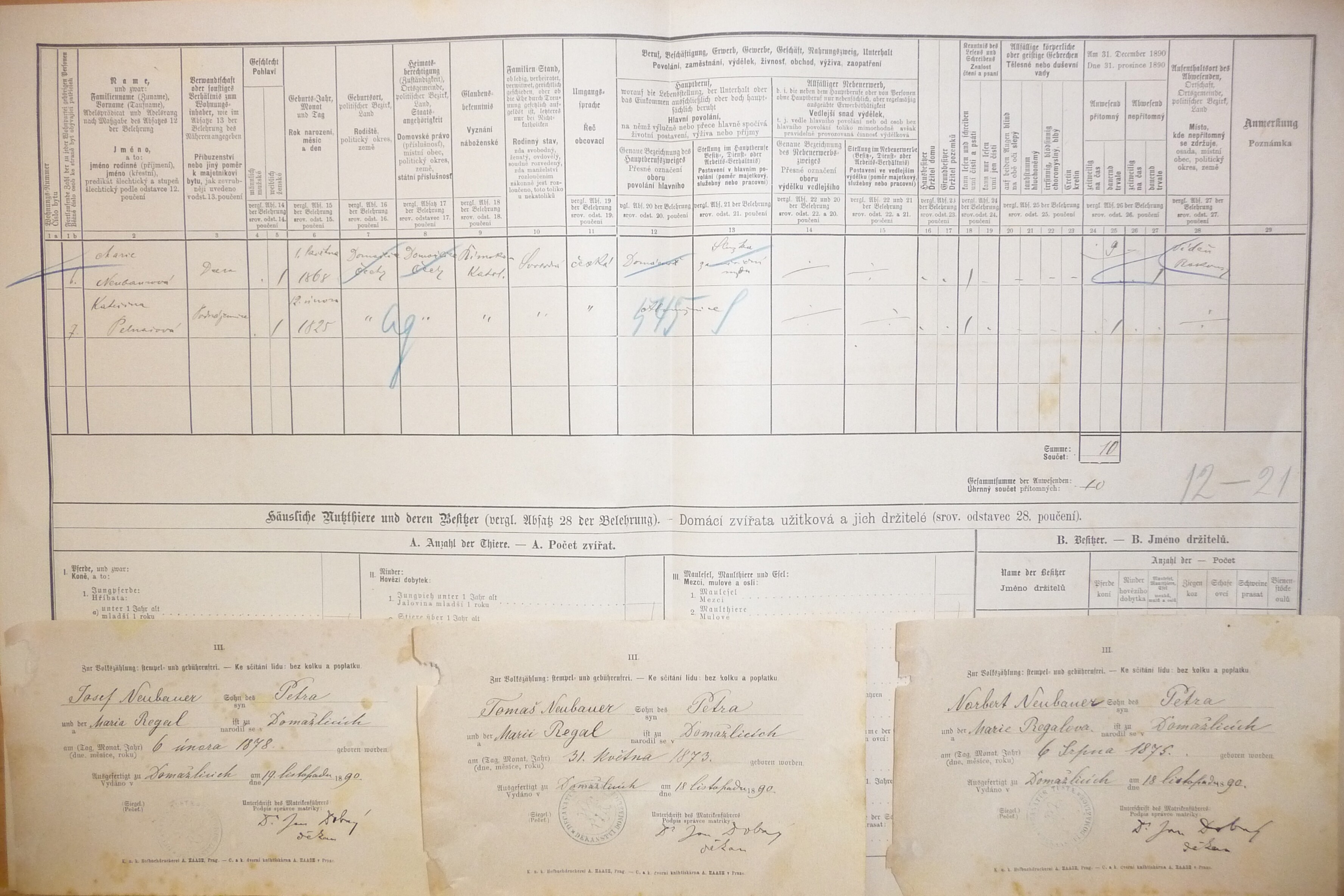 2. soap-do_00592_census-1890-domazlice-bezdekovske-predmesti-cp119_0020