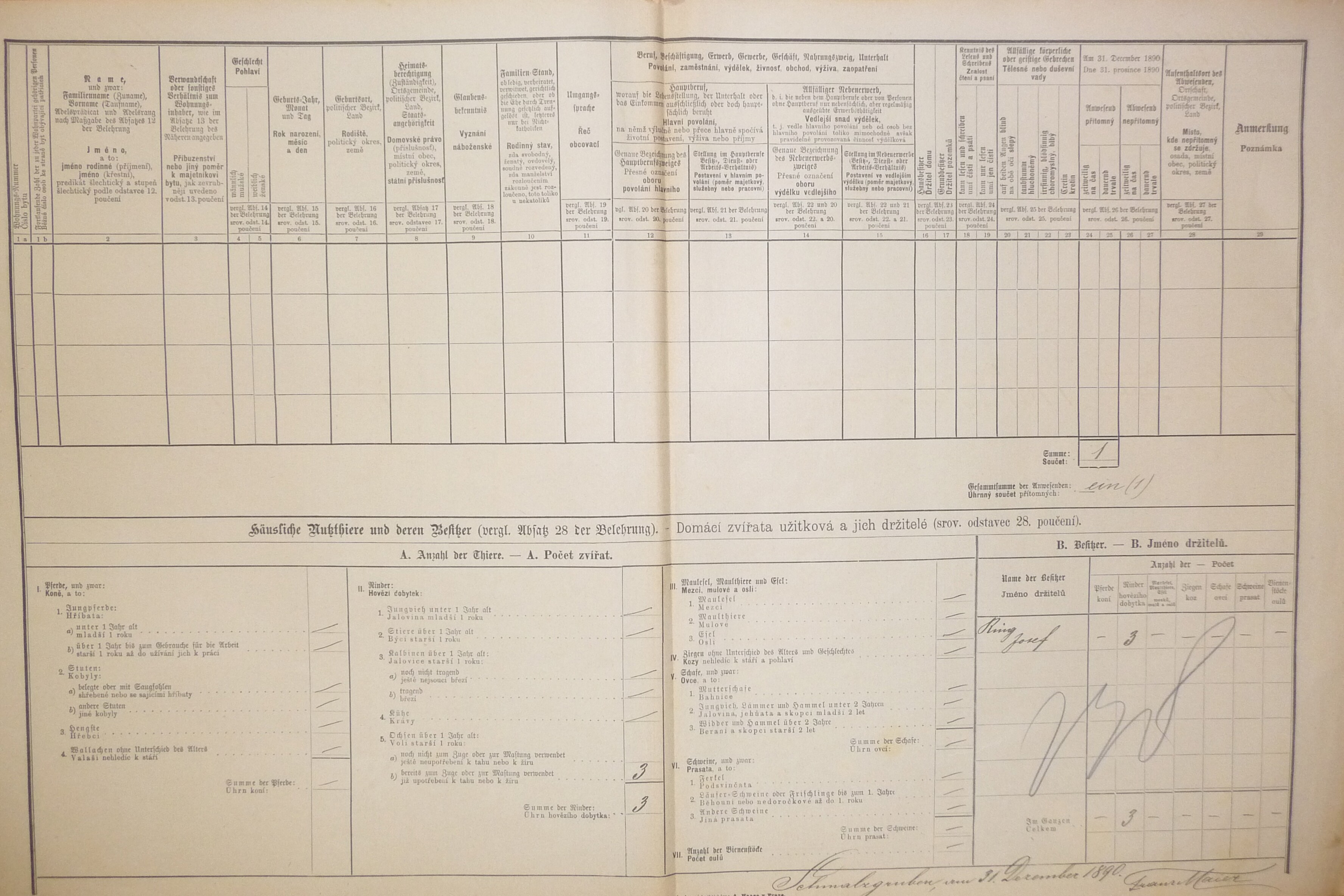 2. soap-do_00592_census-1890-liskova-nemanicky-cp004_0020