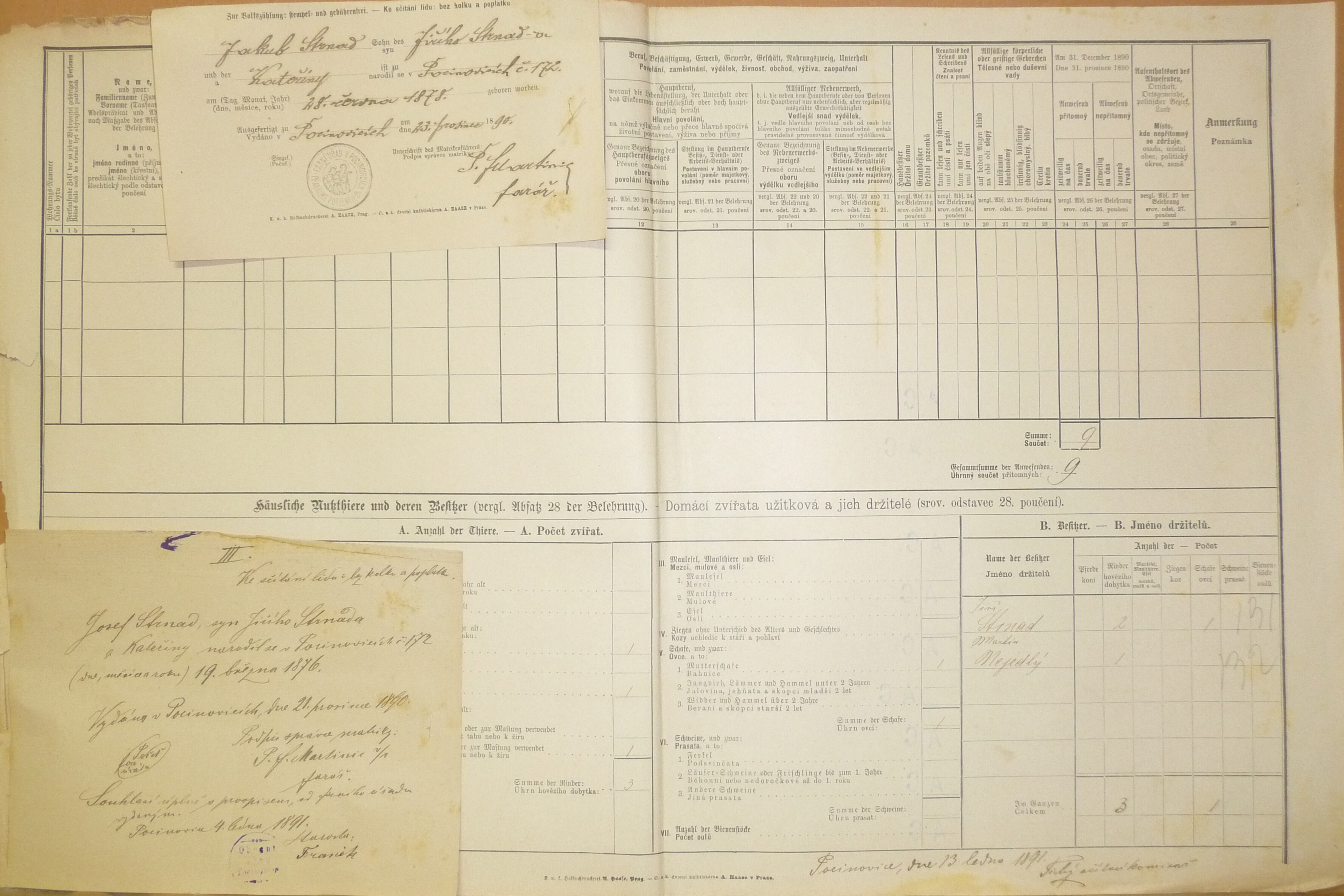 2. soap-do_00592_census-1890-pocinovice-cp172_0020