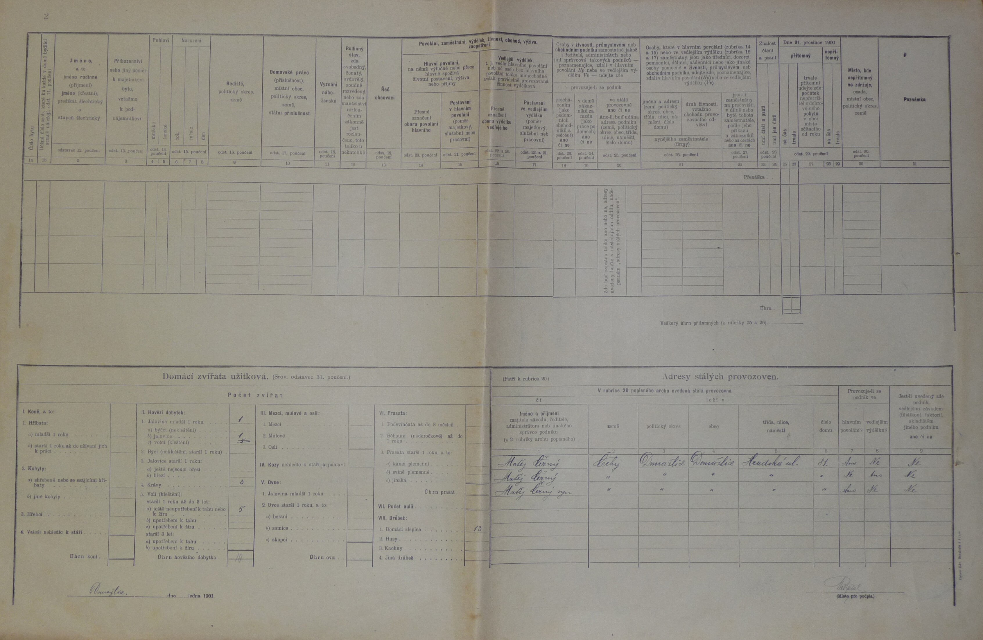 2. soap-do_00592_census-1900-domazlice-mesto-cp081_0020