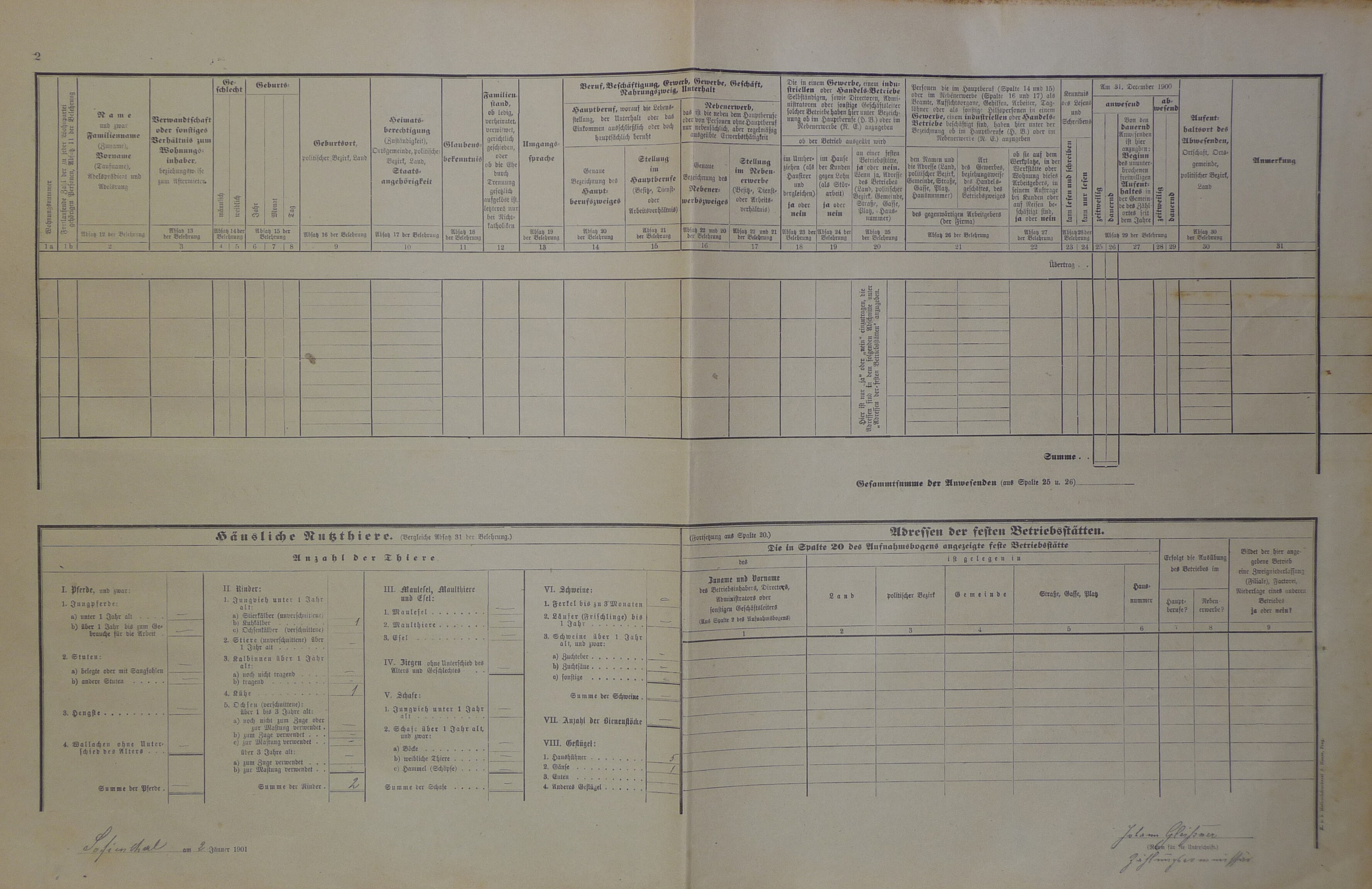 2. soap-do_00592_census-1900-liskova-cerna-ruka-cp008_0020