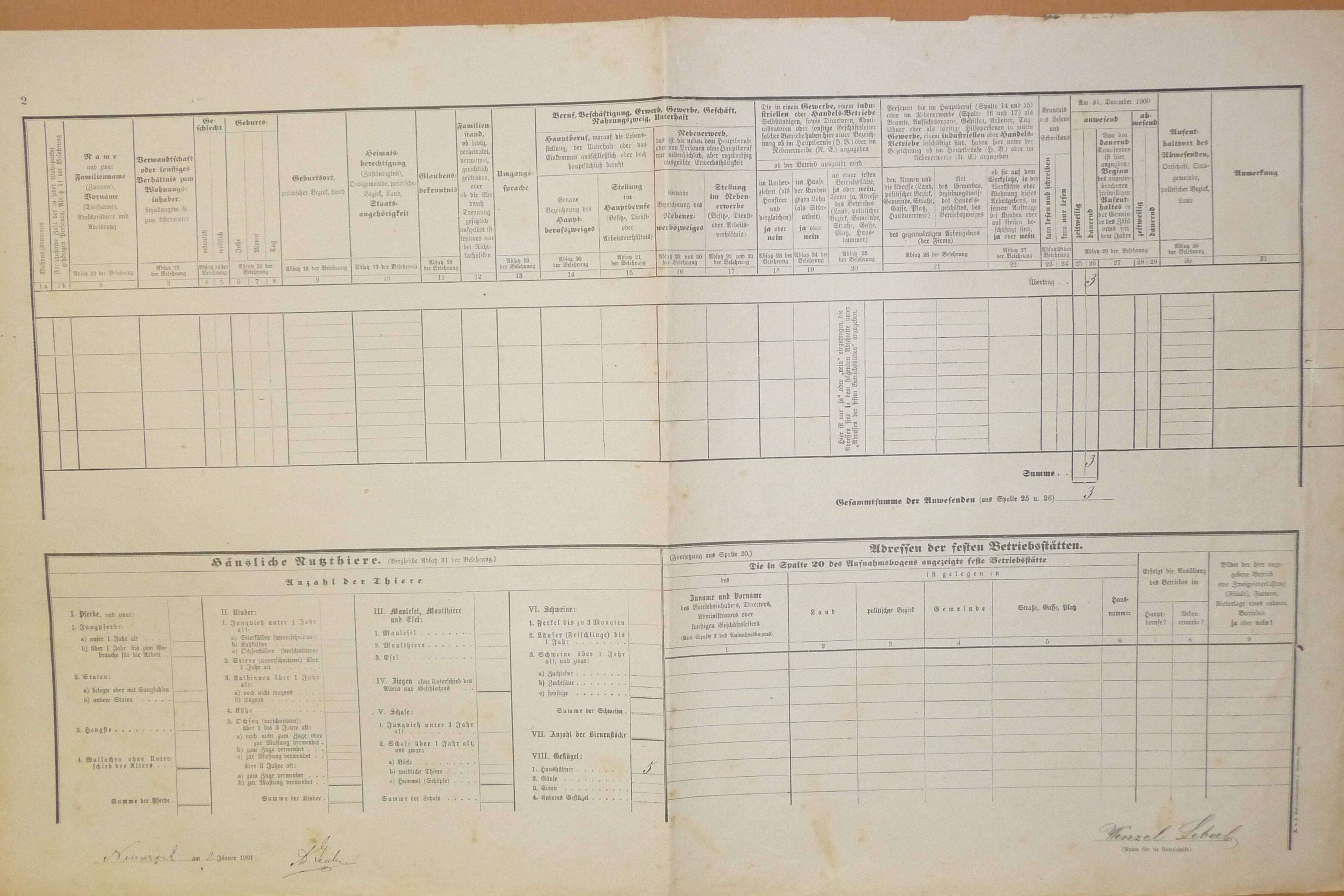 2. soap-do_00592_census-1900-vseruby-cp001_0020