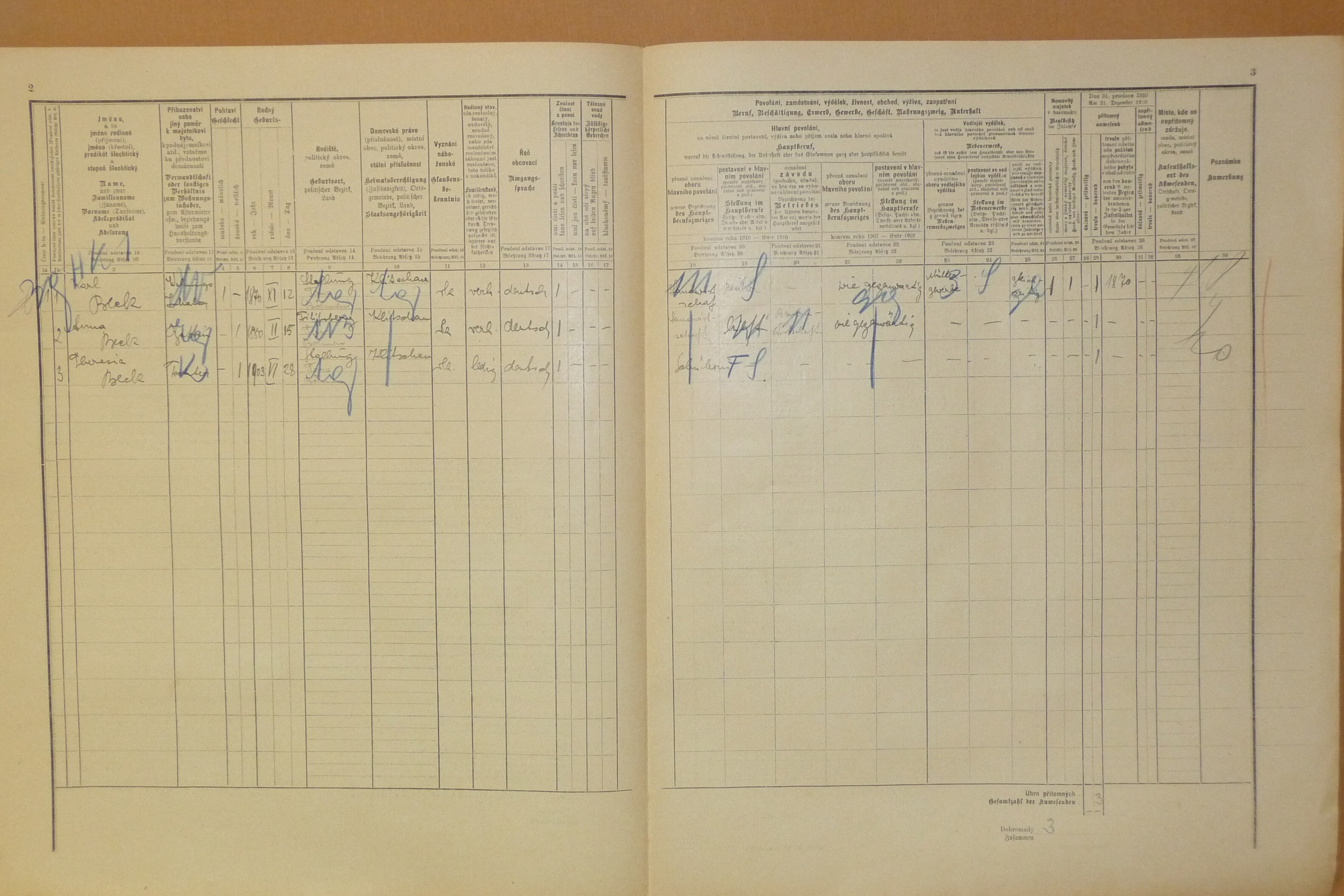 2. soap-do_00592_census-1910-klicov-mlynecek-cp012_0020