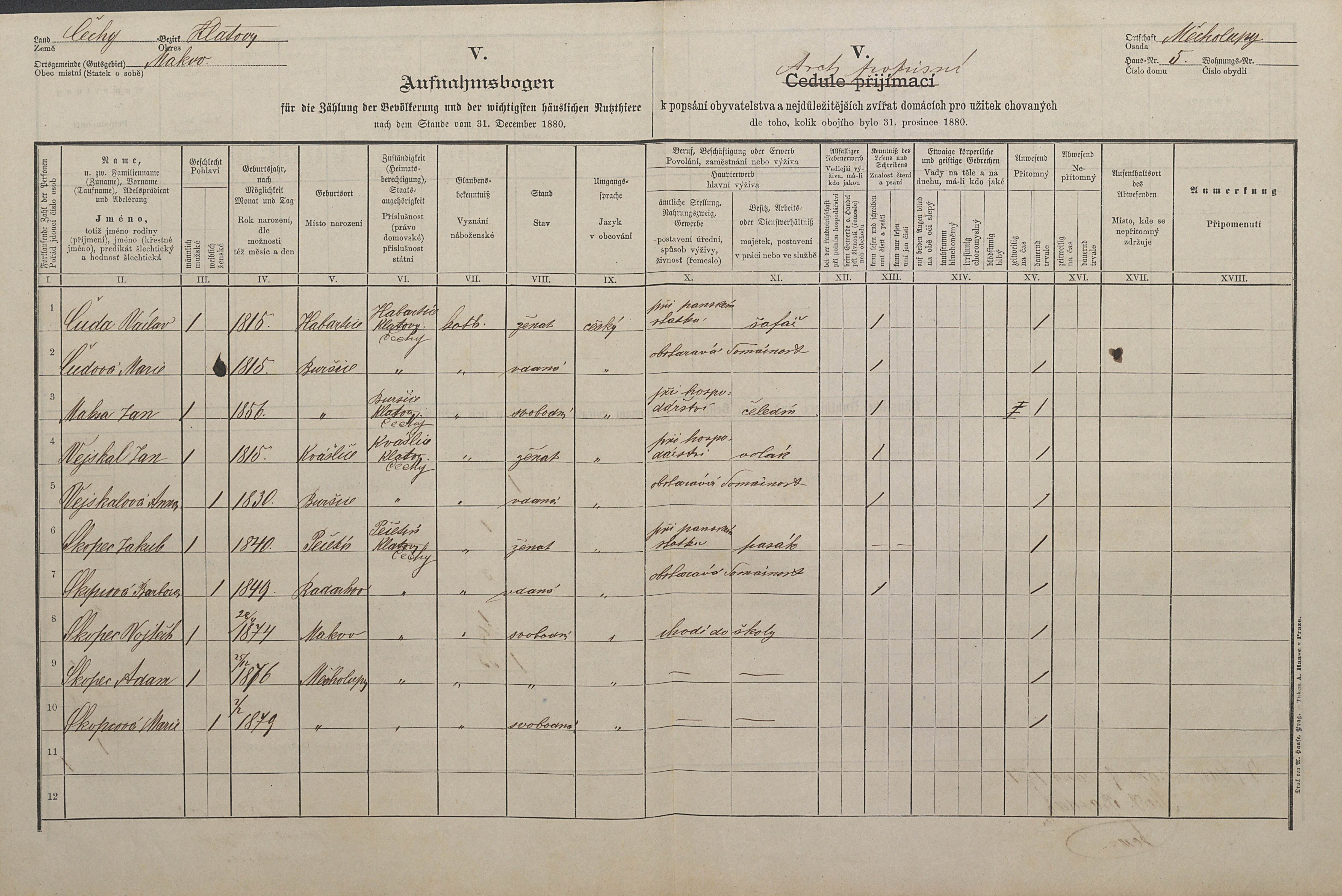 1. soap-kt_01159_census-1880-makov-cp005_0010