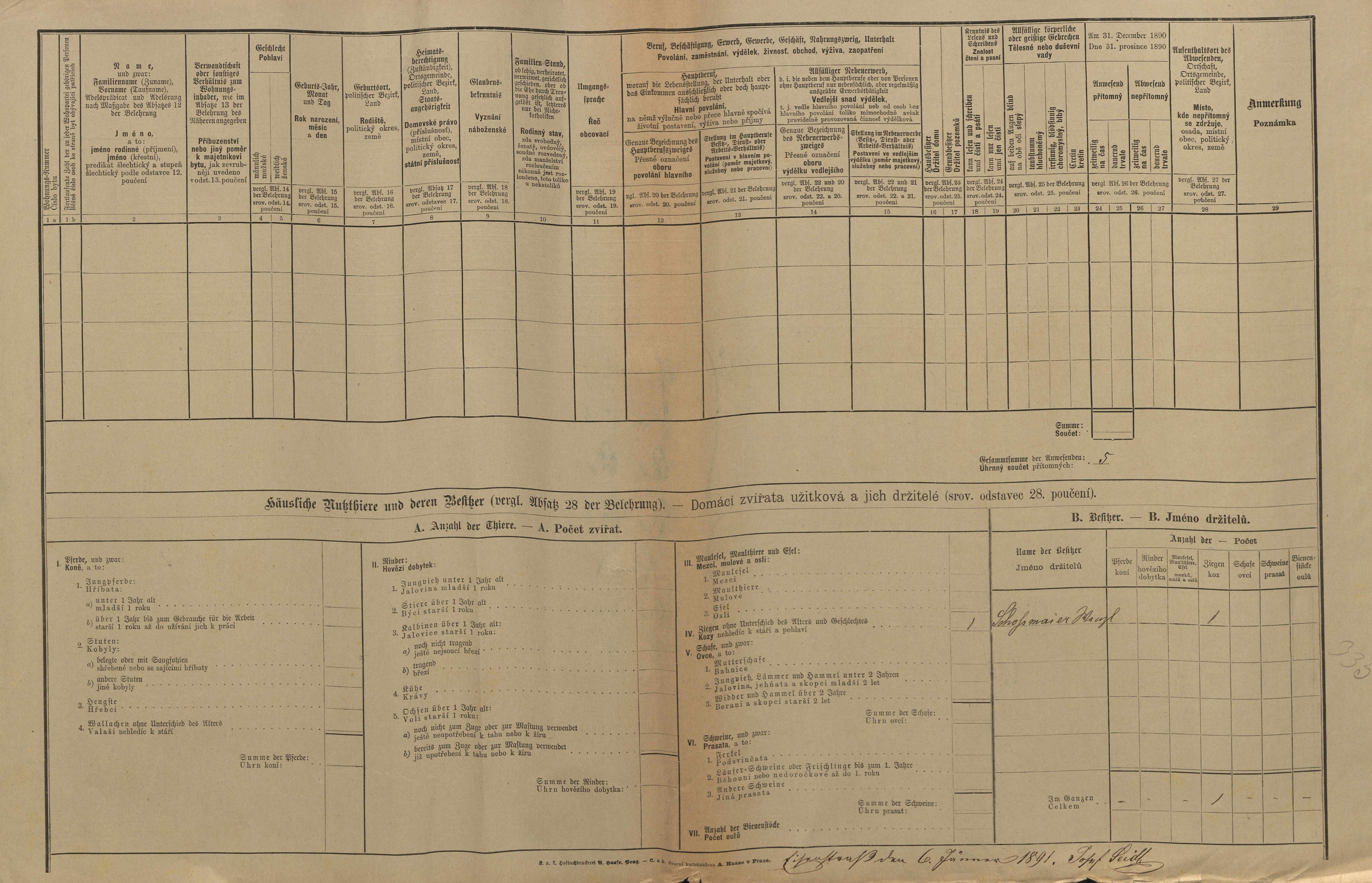 2. soap-kt_01159_census-1890-hojsova-straz-cp133_0020