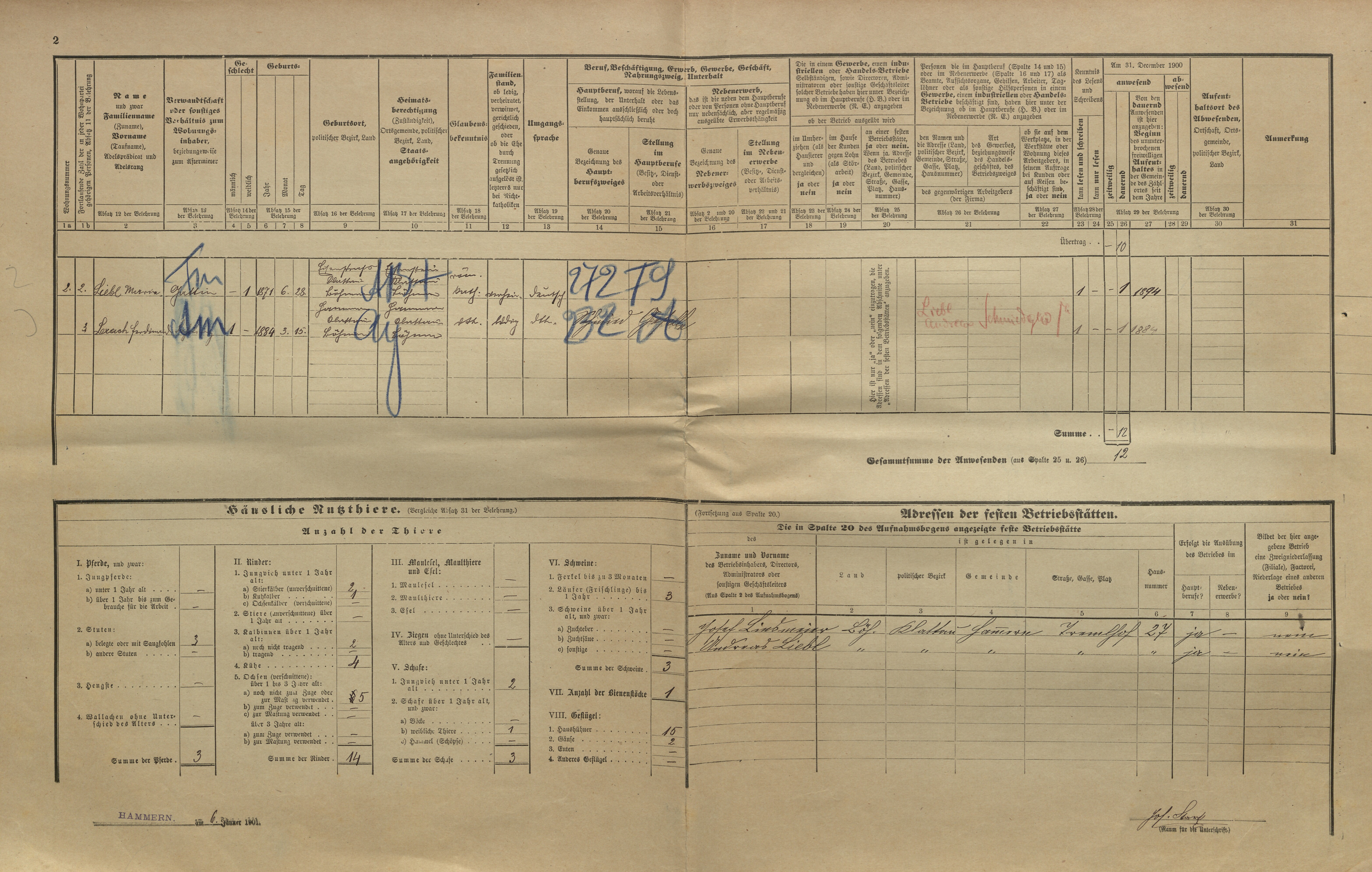 4. soap-kt_01159_census-1900-hamry-cp027_0040