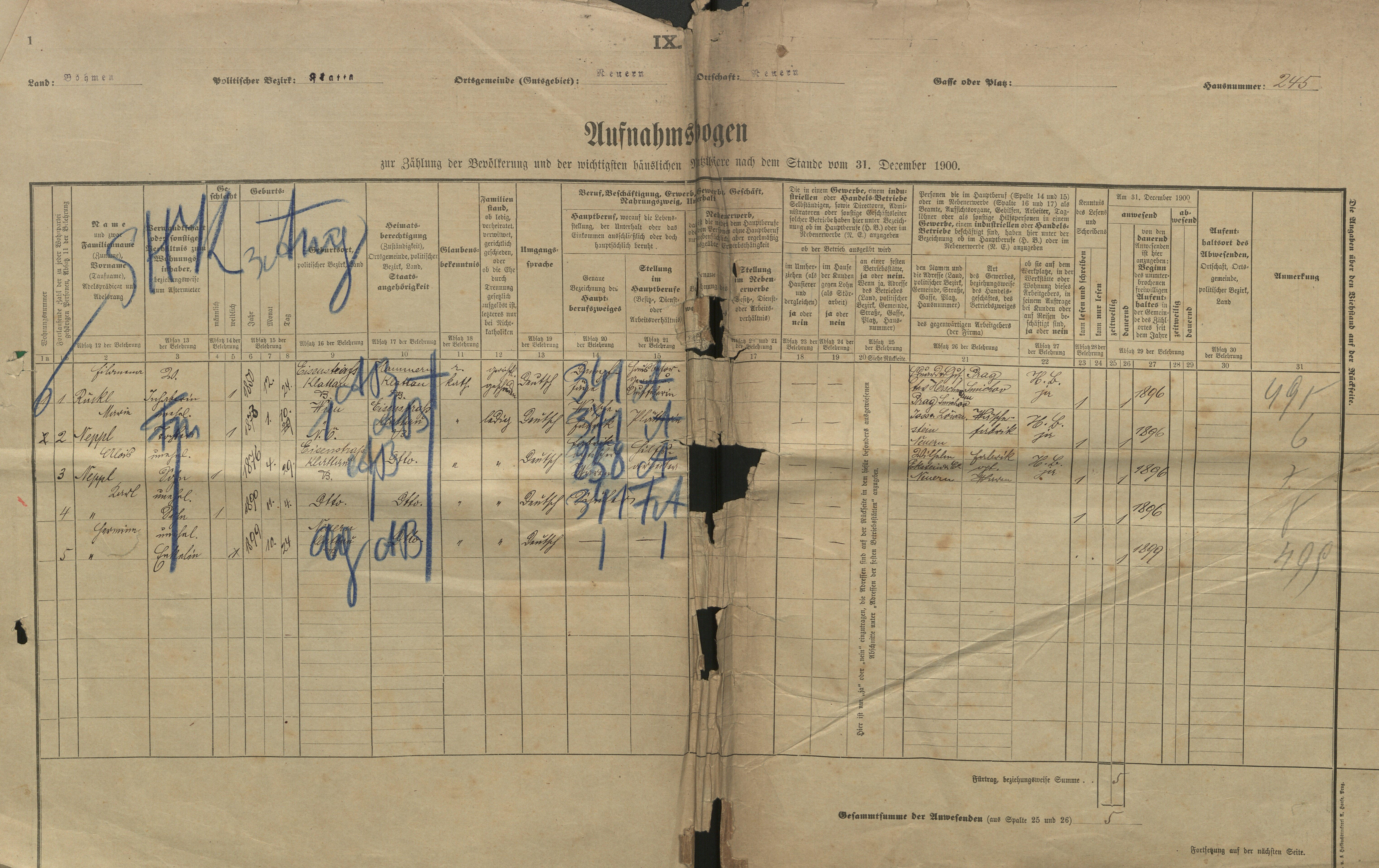 1. soap-kt_01159_census-1900-nyrsko-cp245_0010