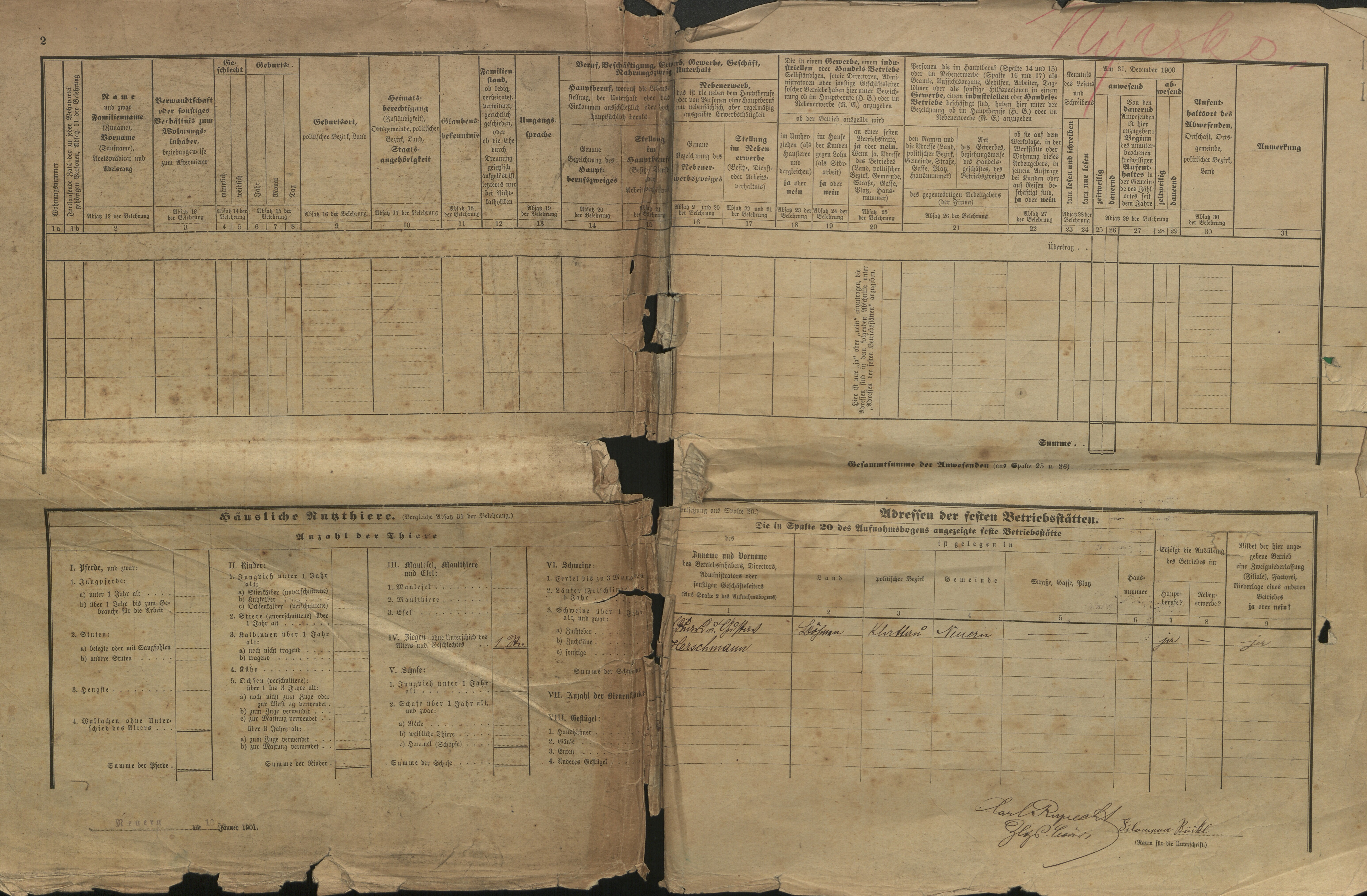 3. soap-kt_01159_census-1900-nyrsko-cp245_0030