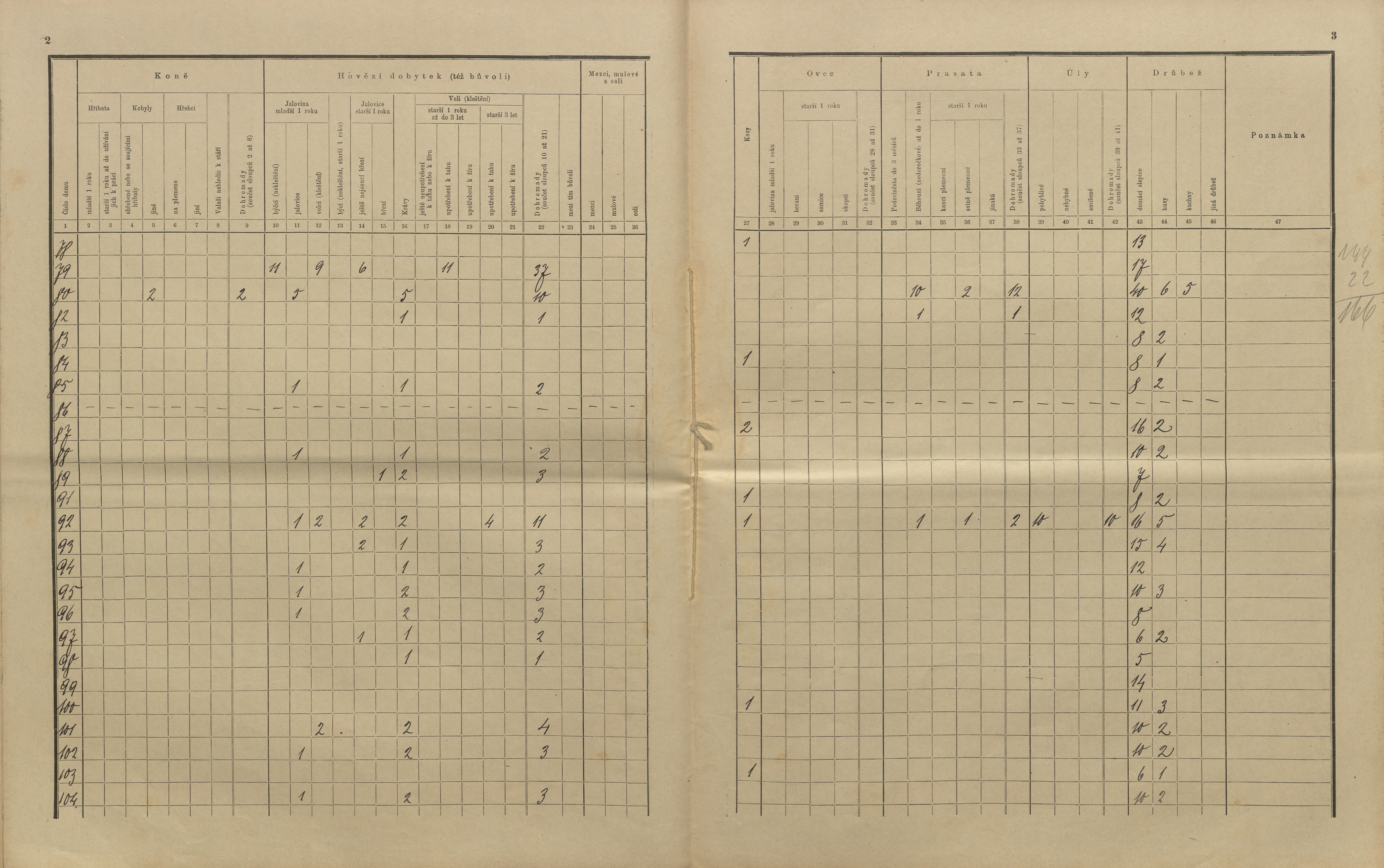 25. soap-kt_01159_census-sum-1910-kolinec-konin_0250