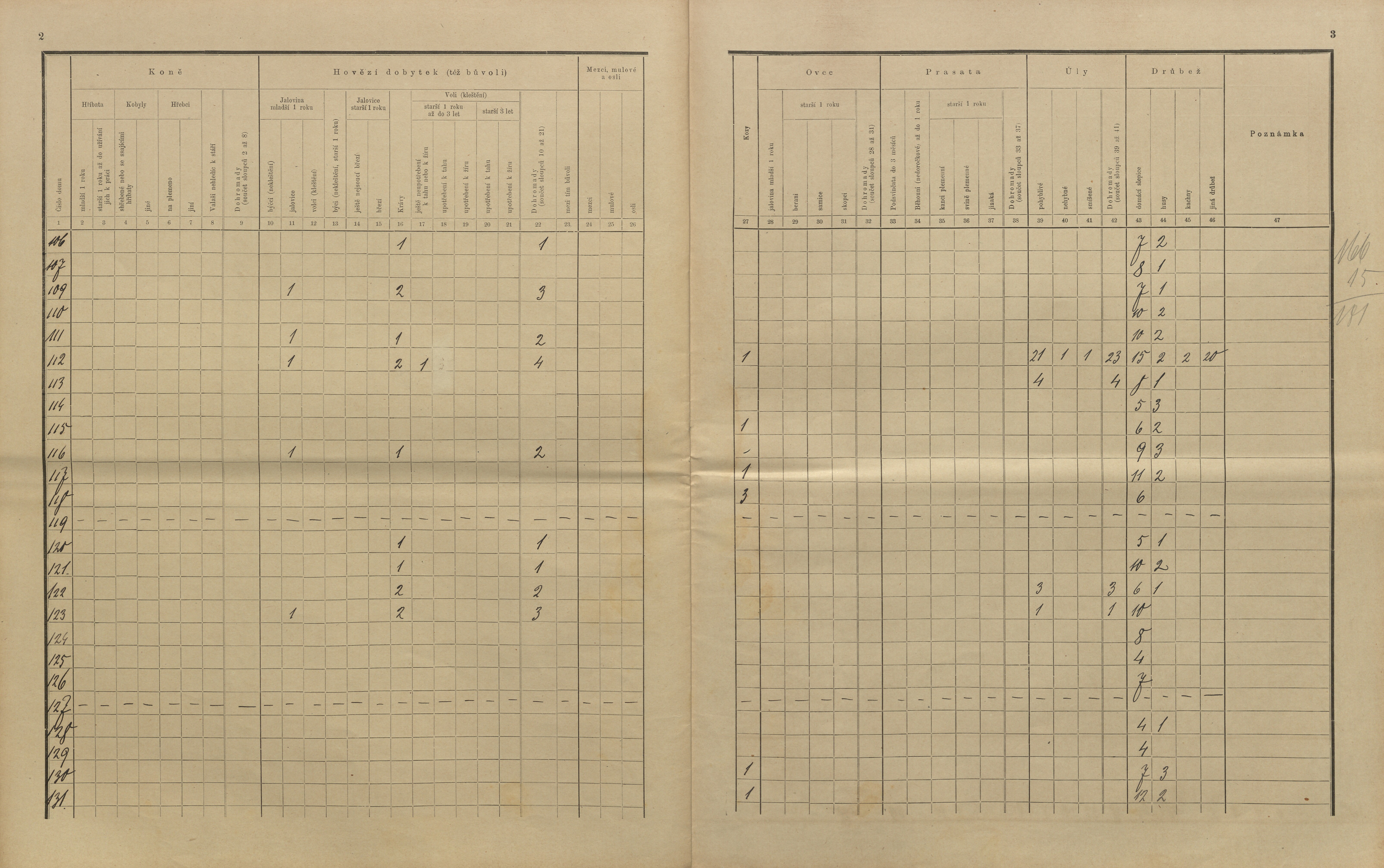 26. soap-kt_01159_census-sum-1910-kolinec-konin_0260