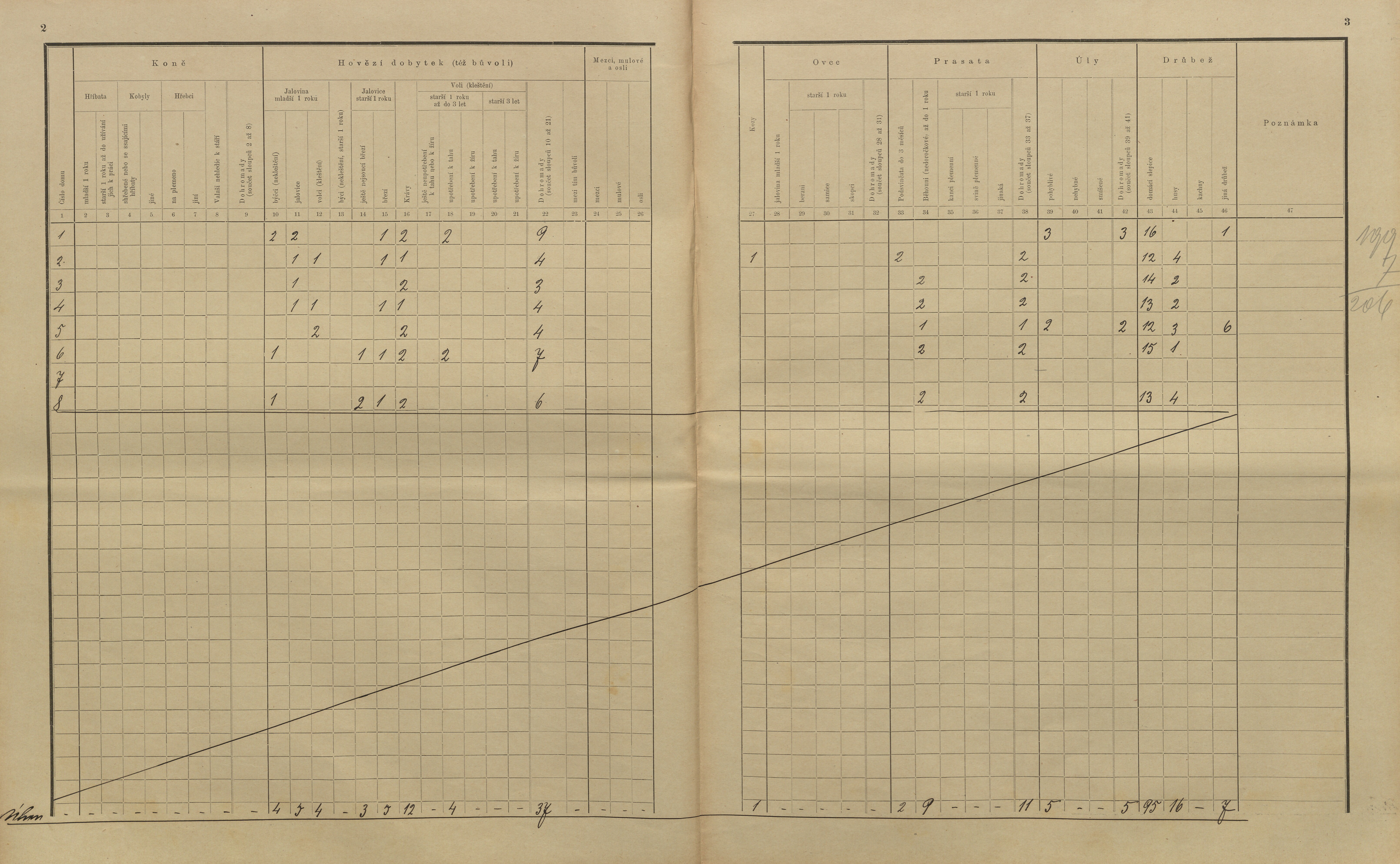 29. soap-kt_01159_census-sum-1910-kolinec-konin_0290