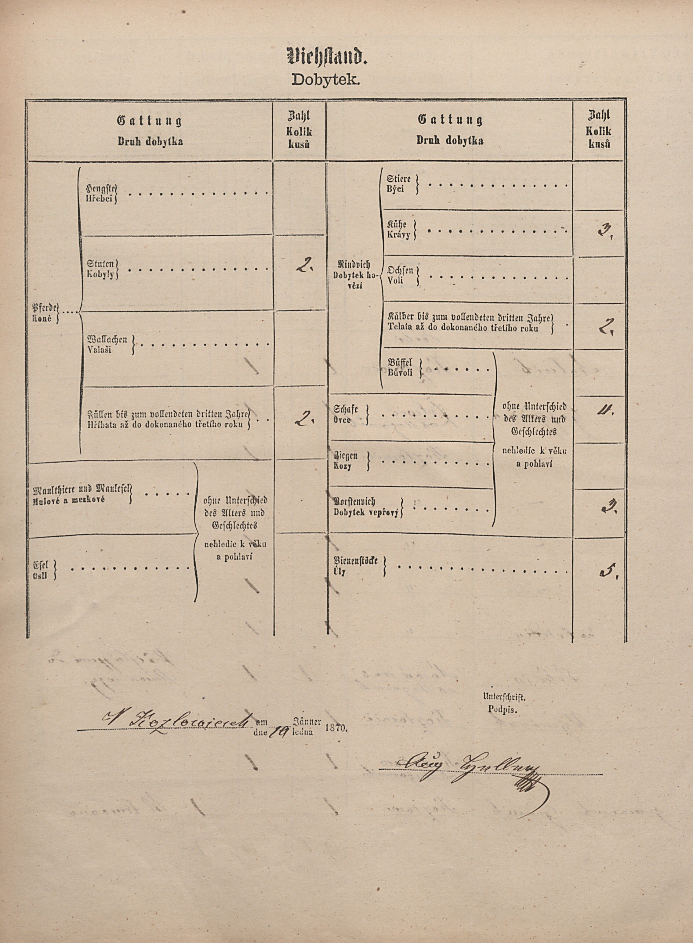 6. soap-pj_00302_census-1869-kozlovice-cp006_0060