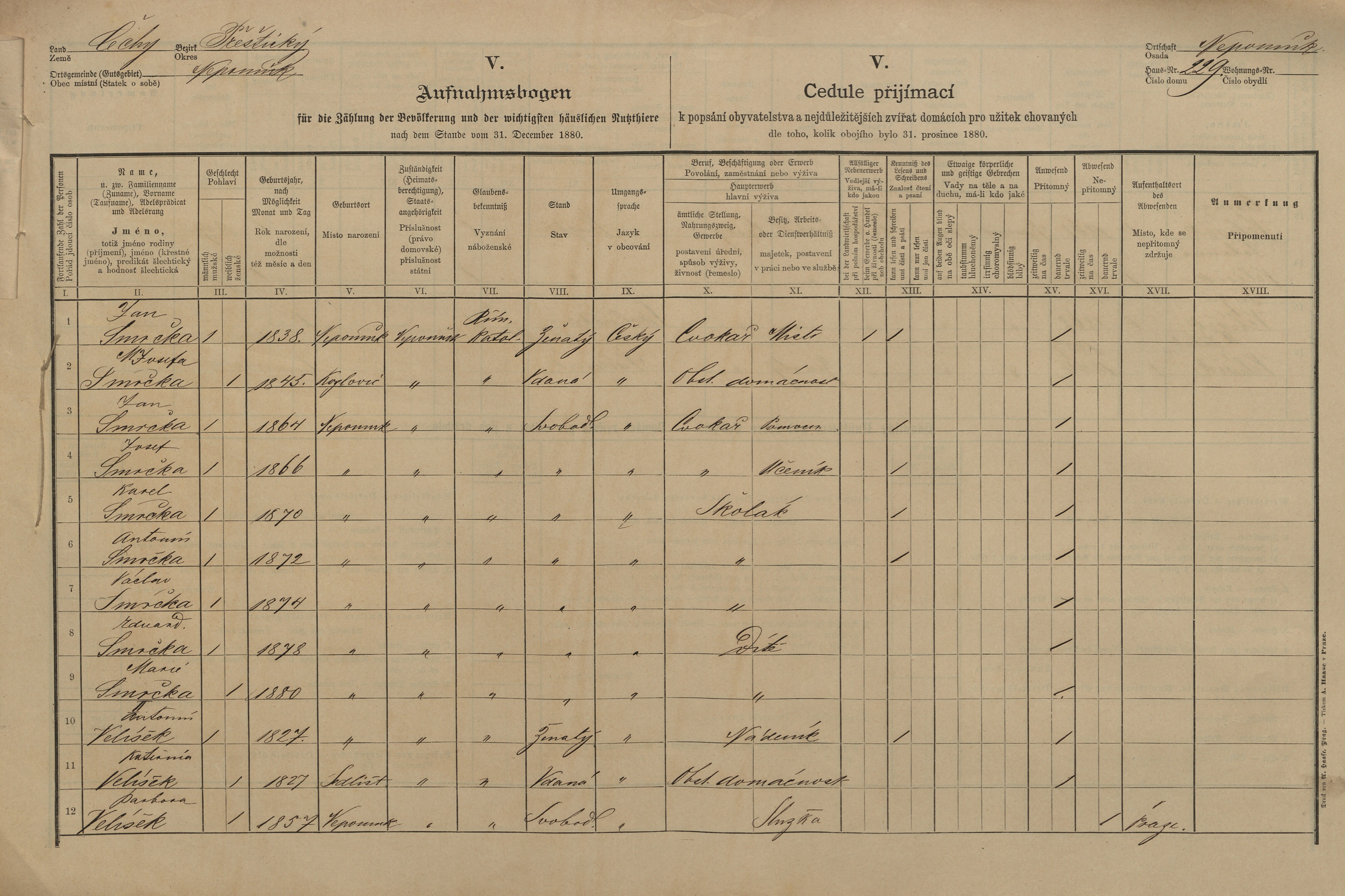 1. soap-pj_00302_census-1880-nepomuk-cp229_0010