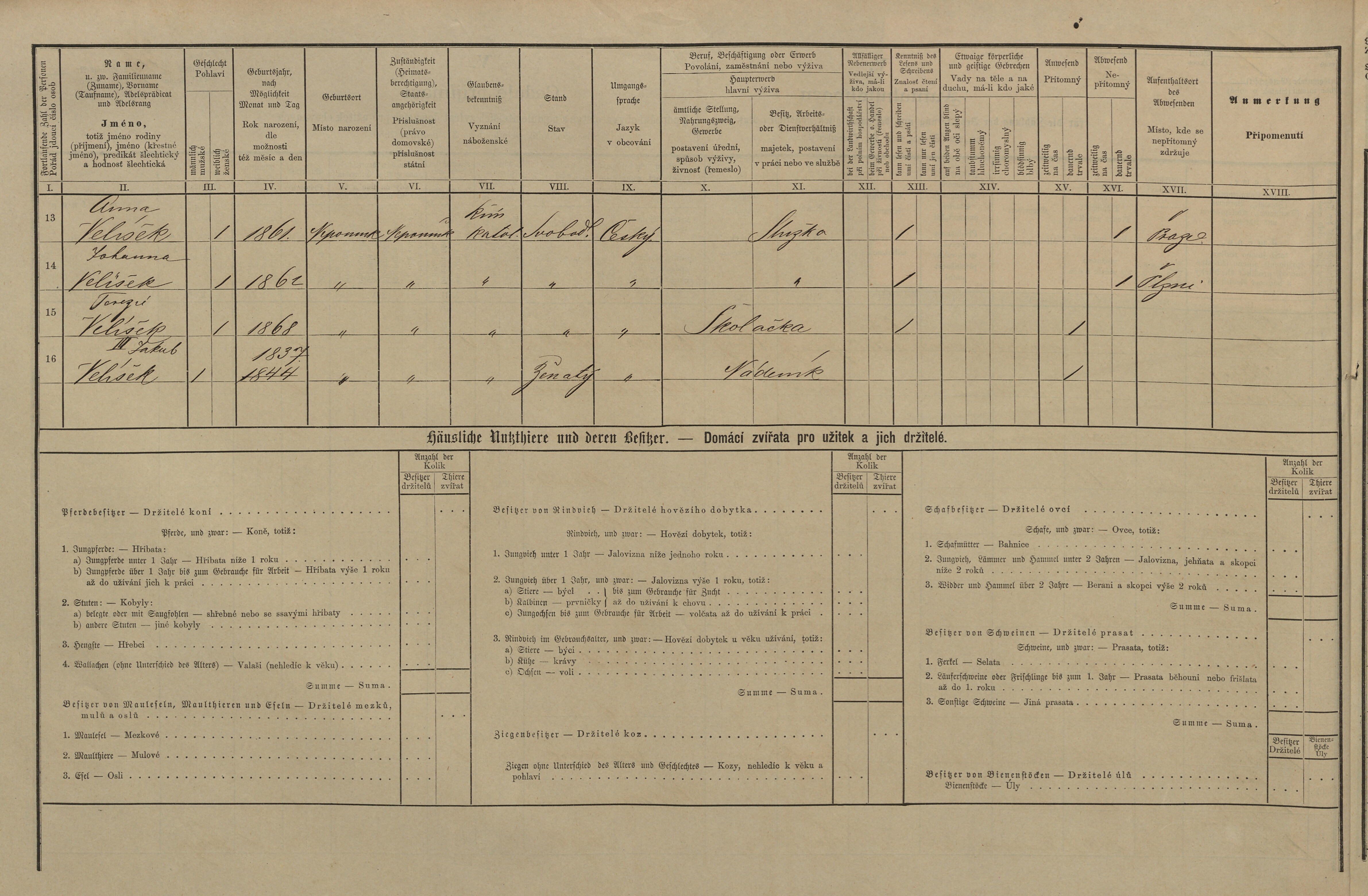 5. soap-pj_00302_census-1880-nepomuk-cp229_0050