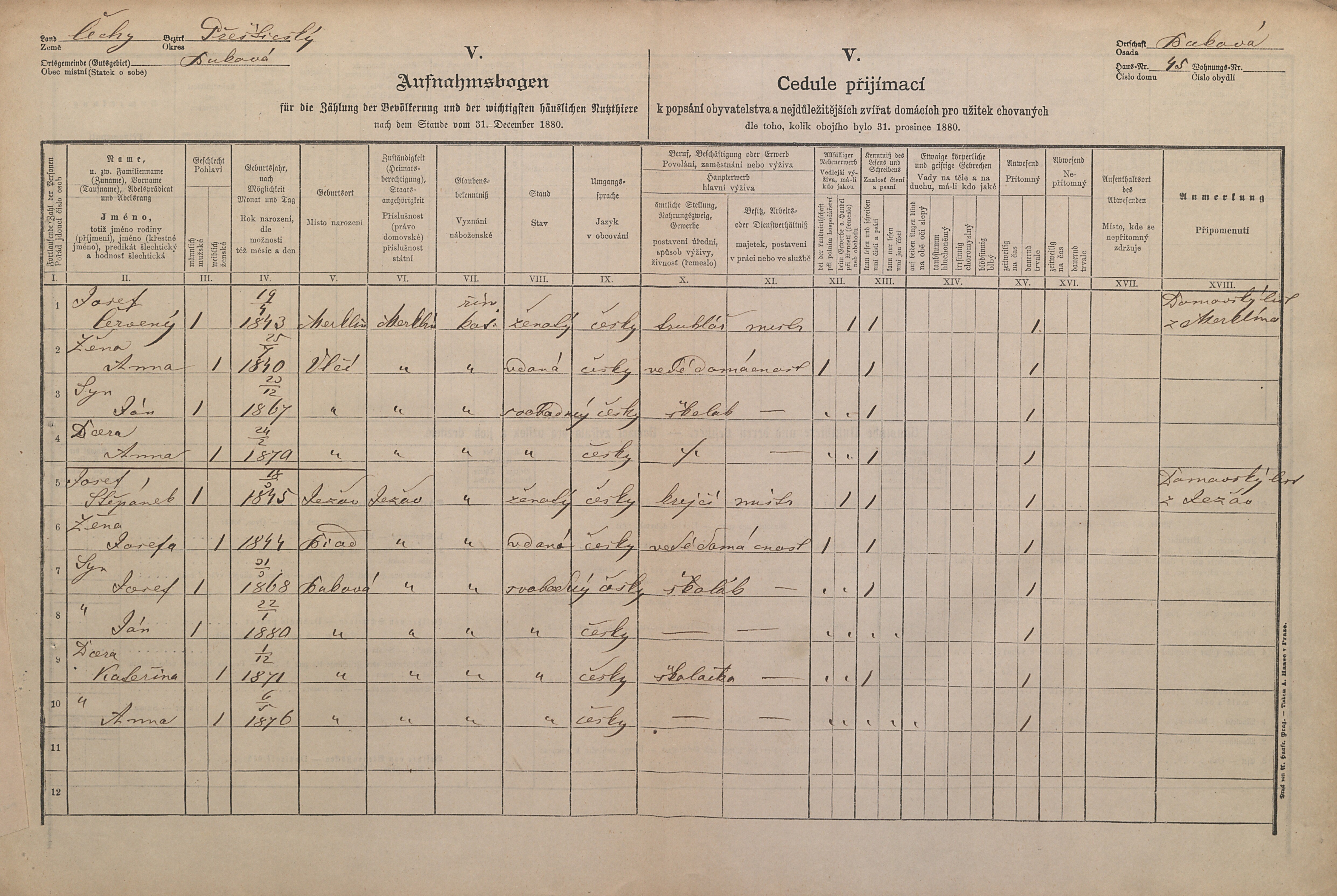 1. soap-pj_00302_census-1880-bukova-cp045_0010