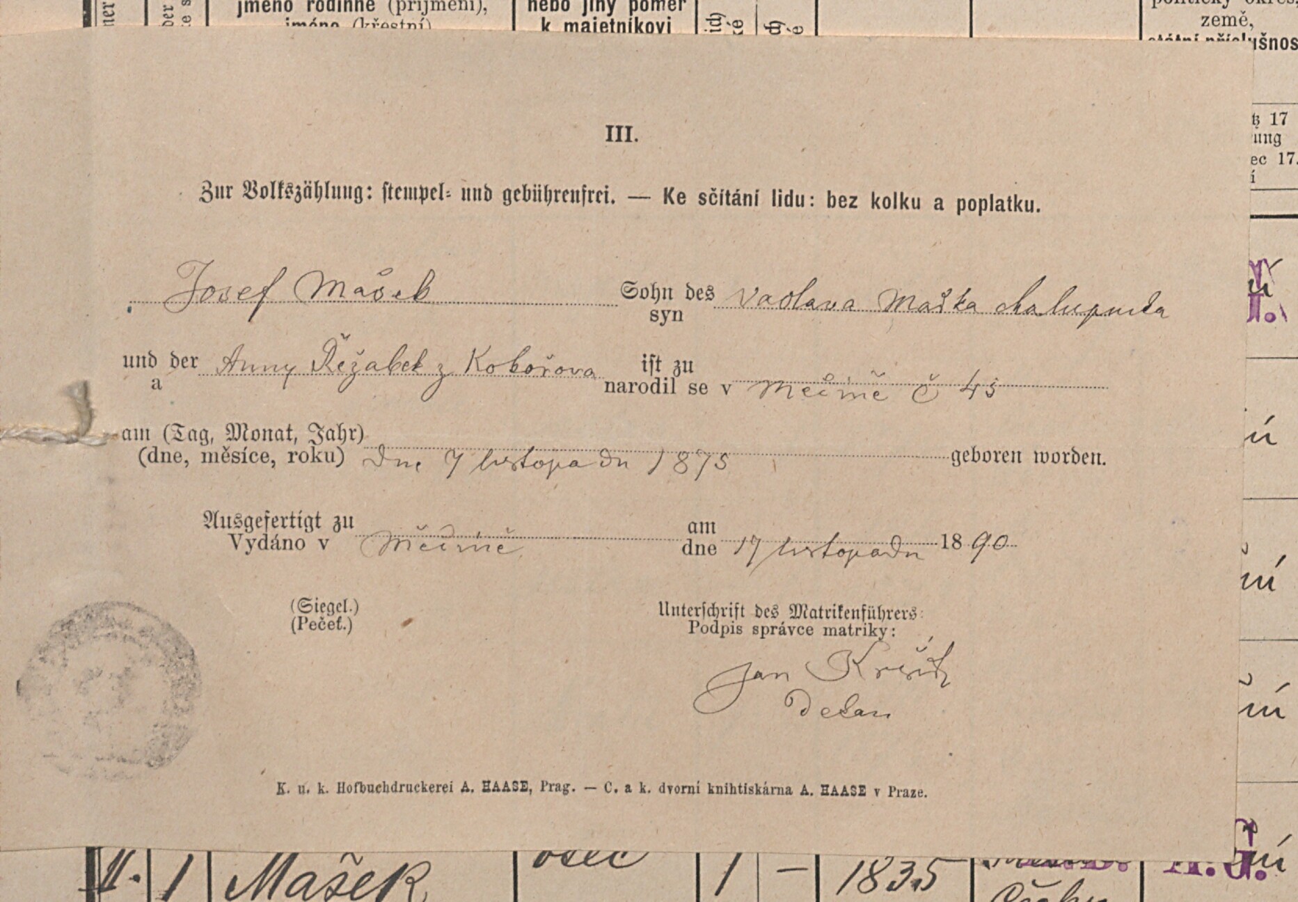 2. soap-pj_00302_census-1890-mecin-cp045_0020