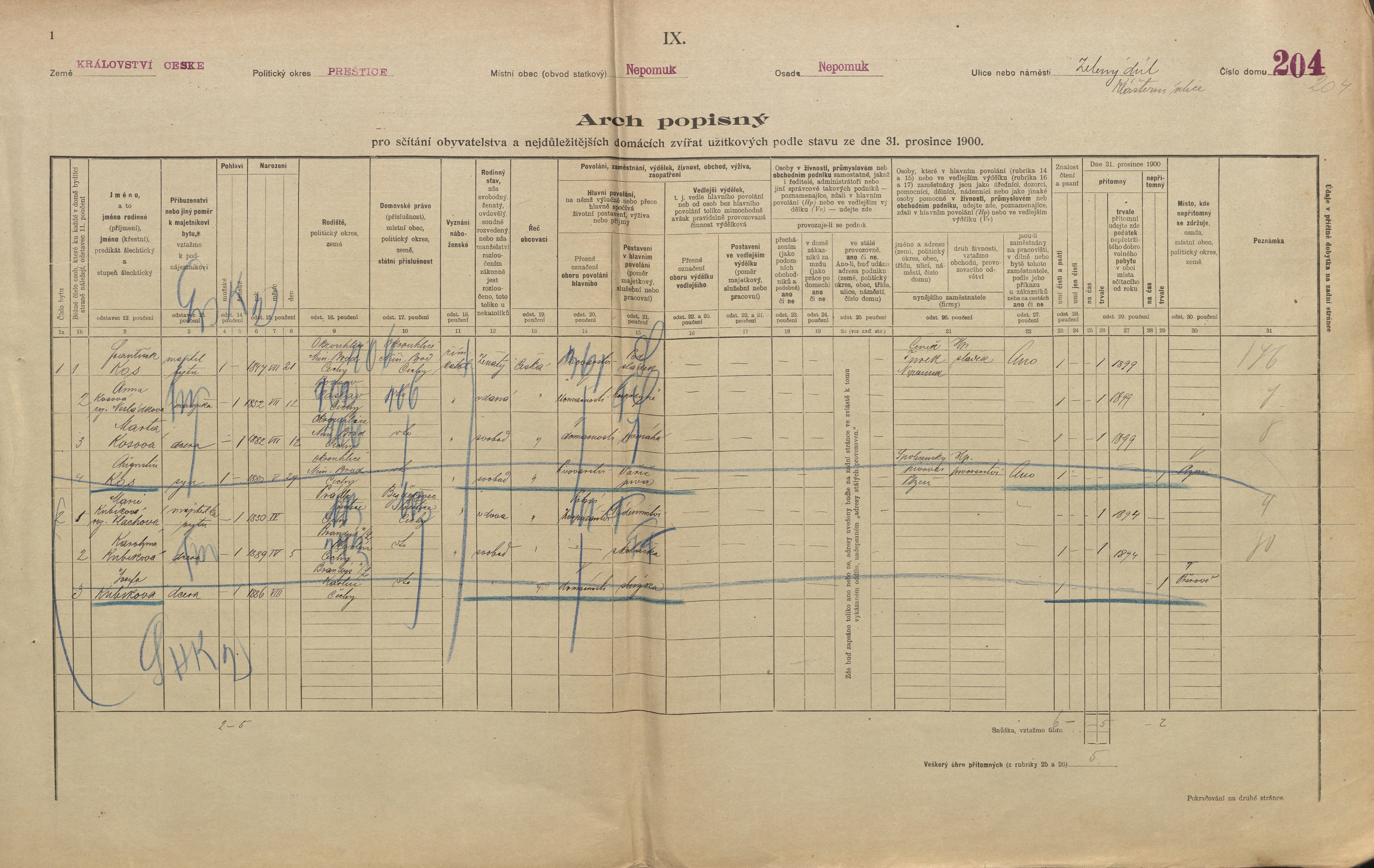 1. soap-pj_00302_census-1900-nepomuk-cp204_0010