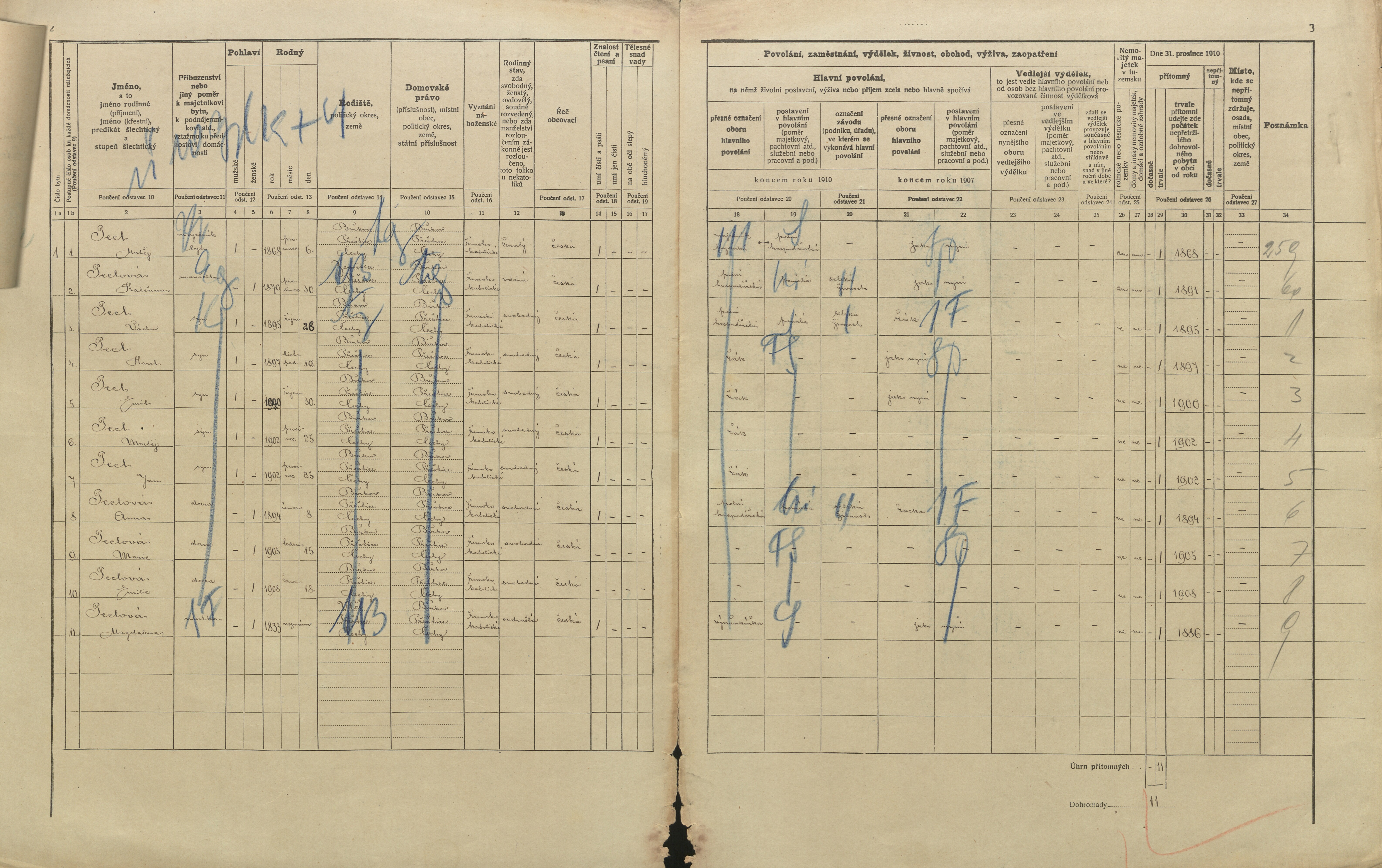 2. soap-pj_00302_census-1910-birkov-cp018_0020