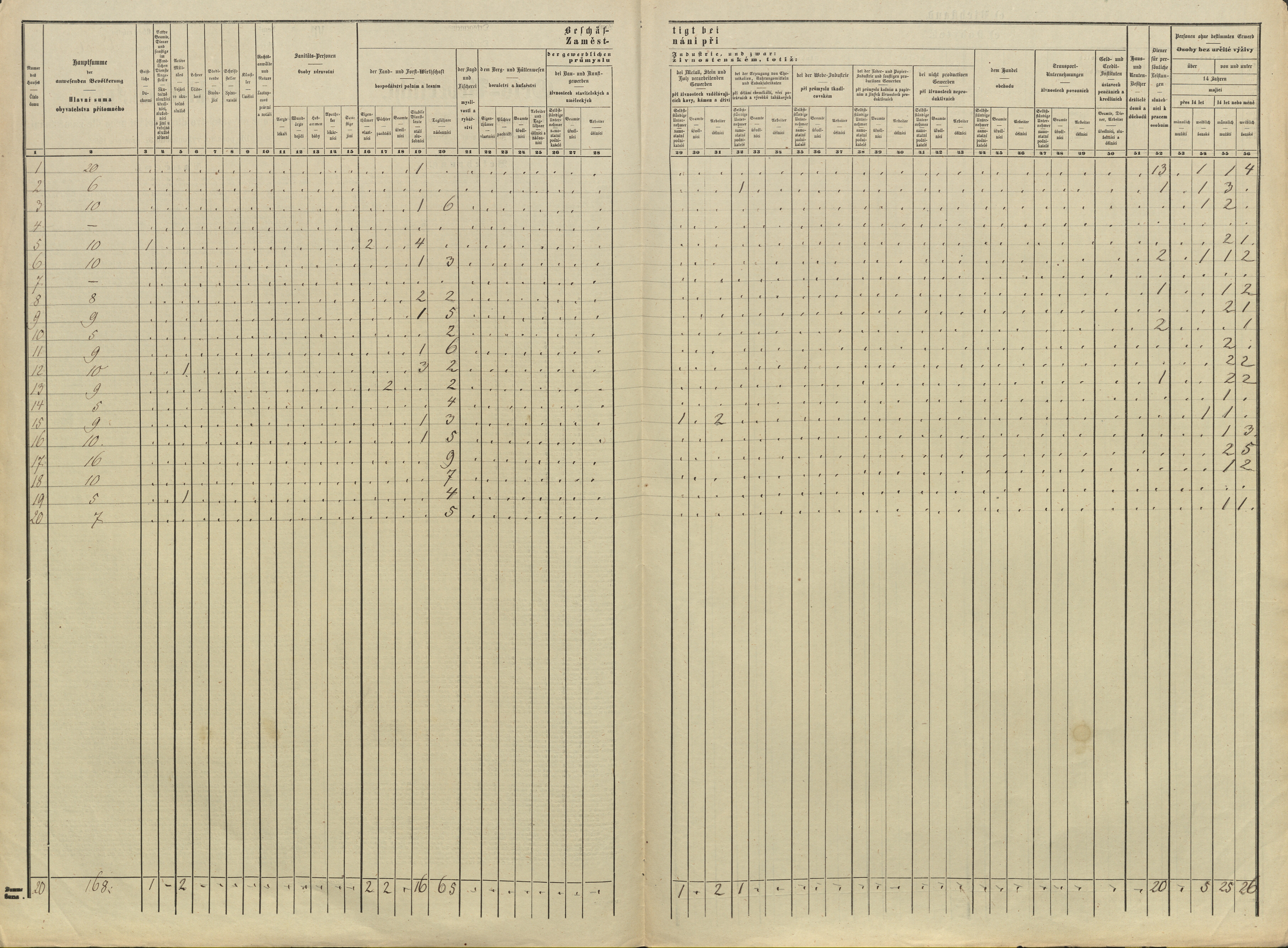 19. soap-pj_00302_census-sum-1869-radkovice-osobovy_0190