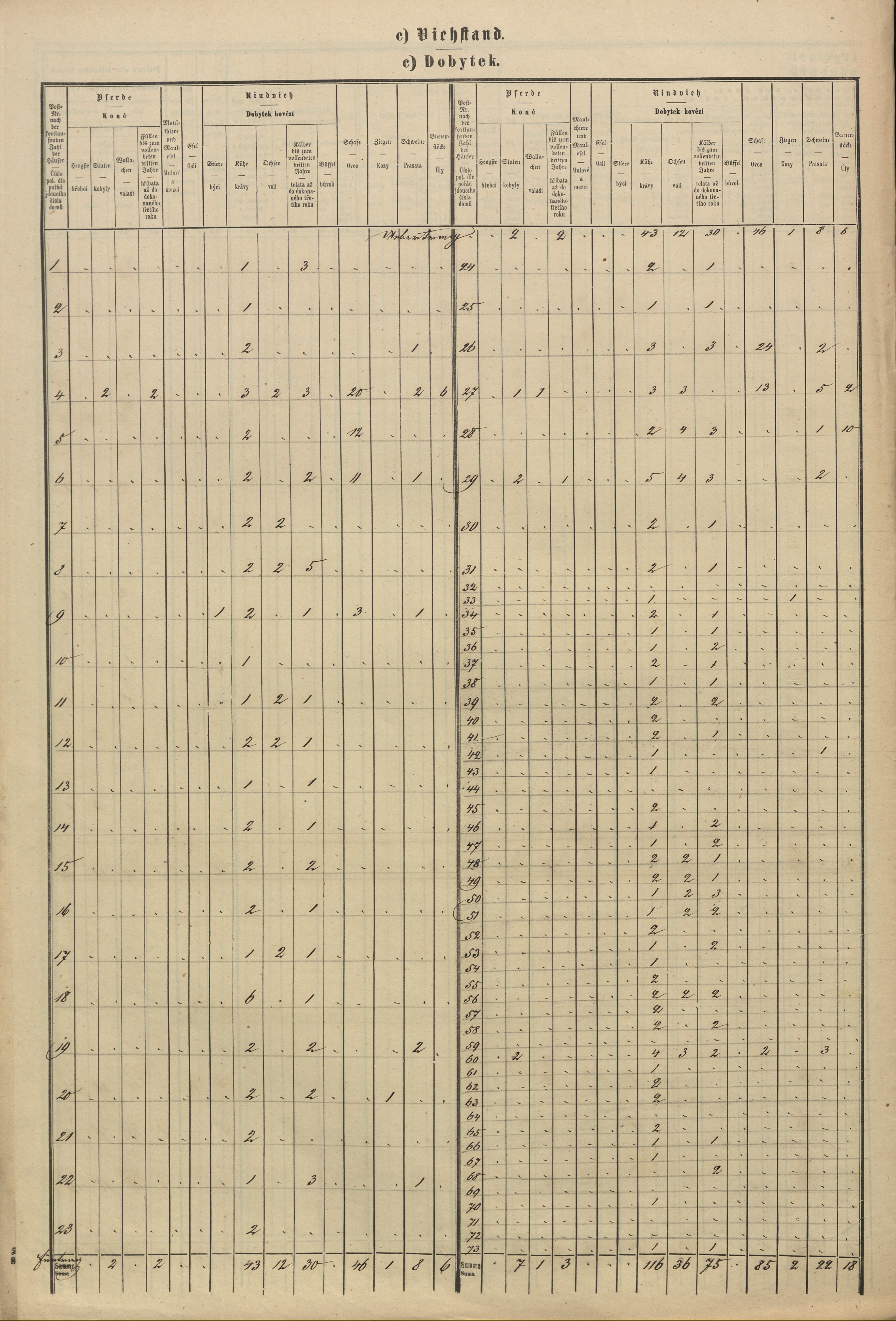 17. soap-pj_00302_census-sum-1869-skasov_0170