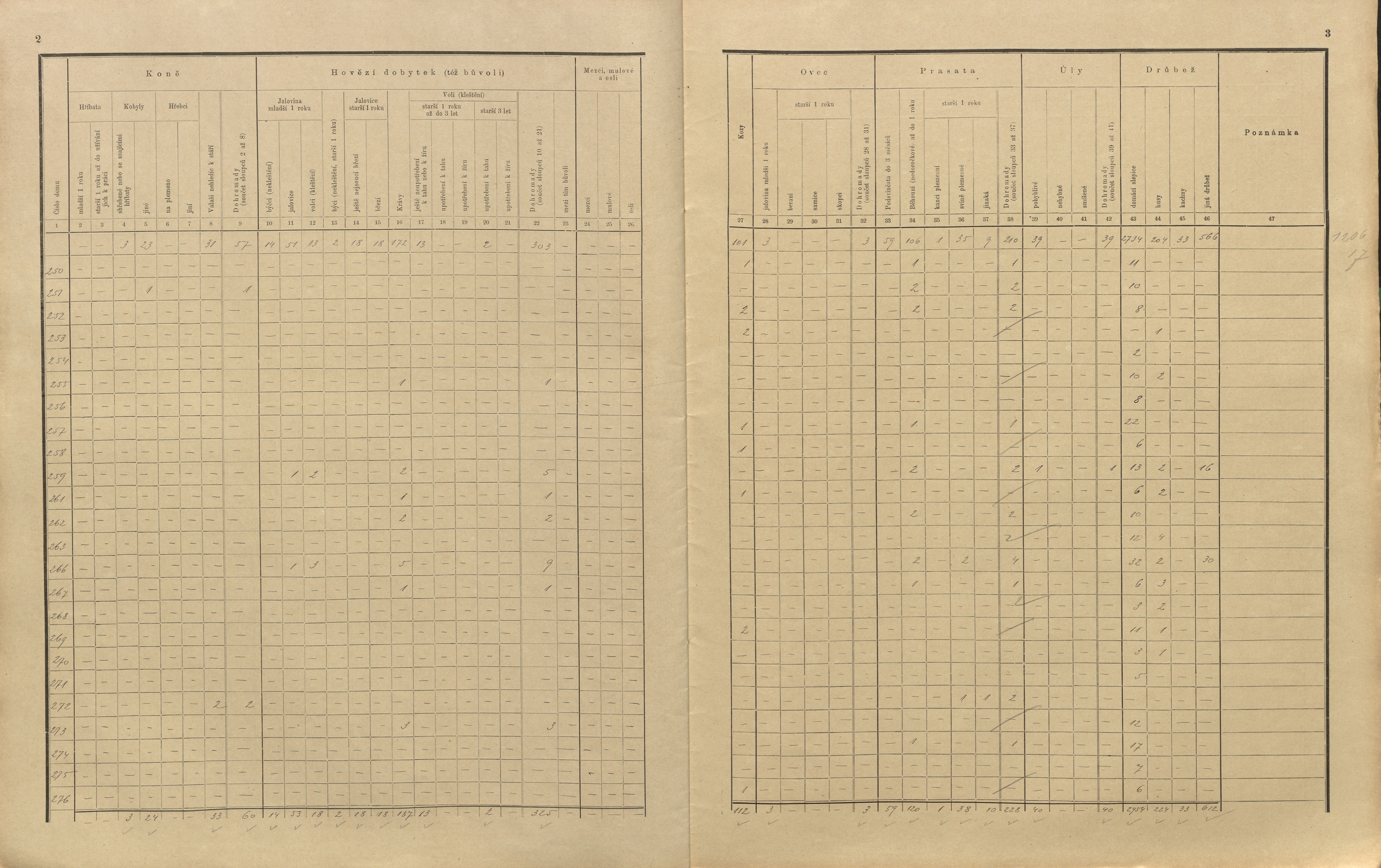 33. soap-pj_00302_census-sum-1910-nepomuk_0330