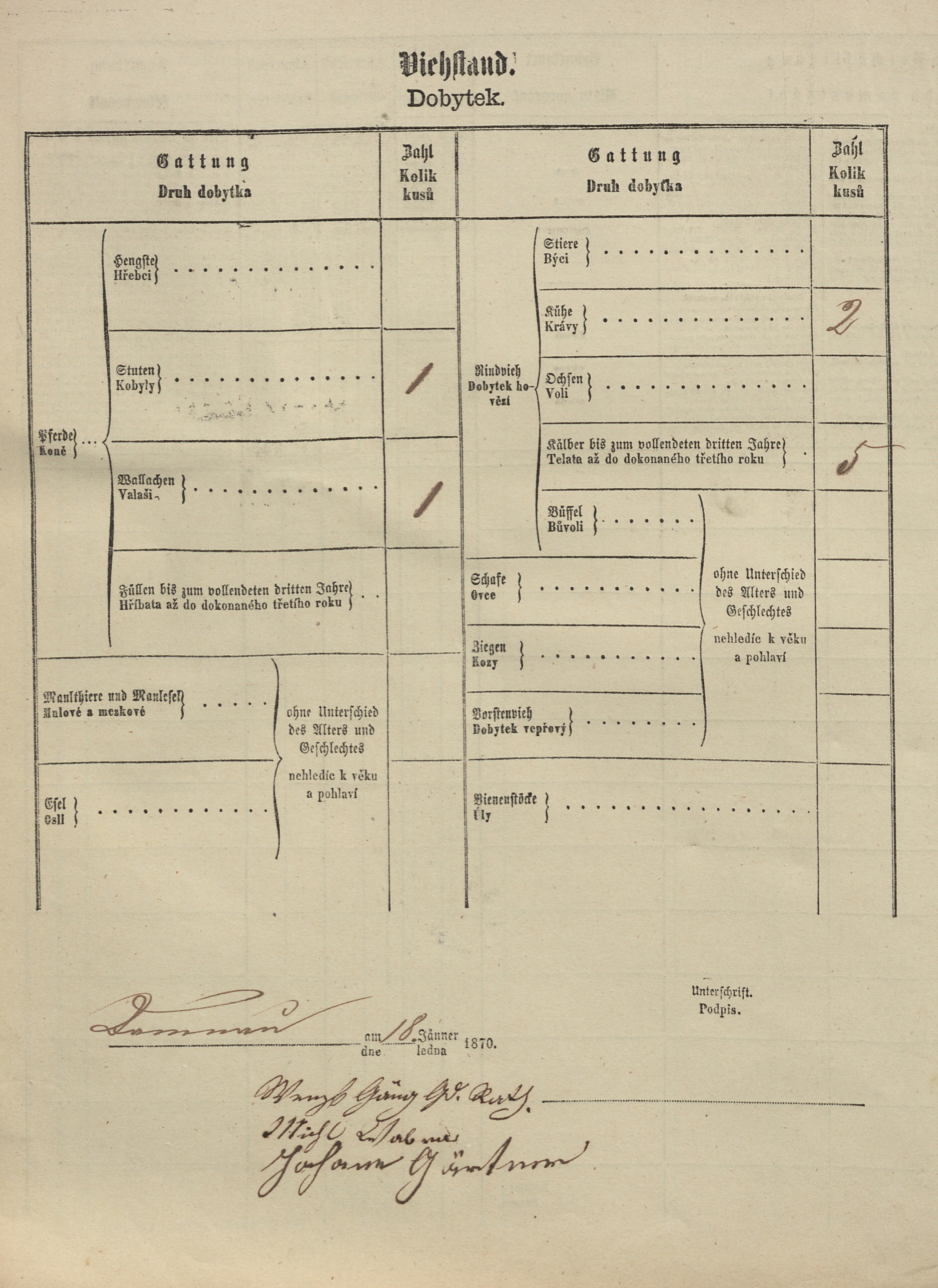 6. soap-tc_00191_census-1869-damnov-vitovice-cp008_0060