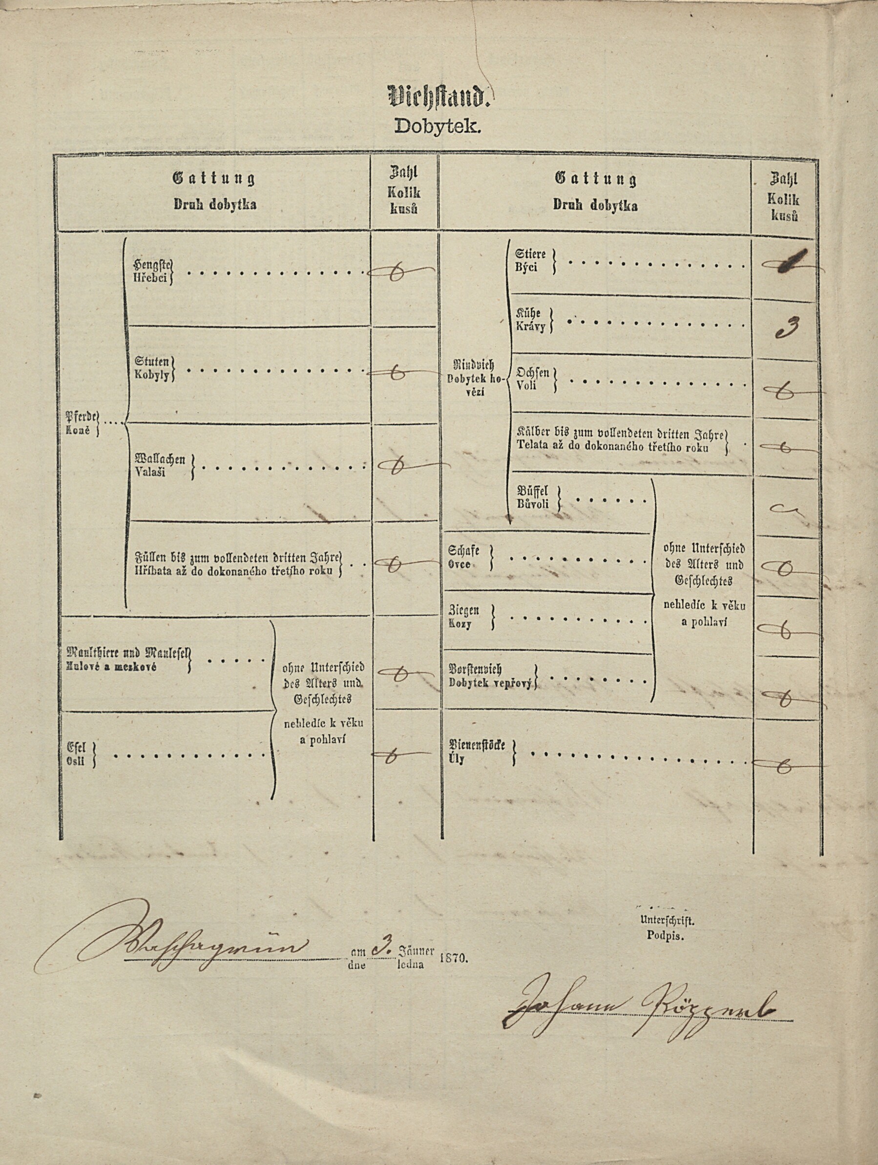 3. soap-tc_00191_census-1869-vyskov-cp020_0030