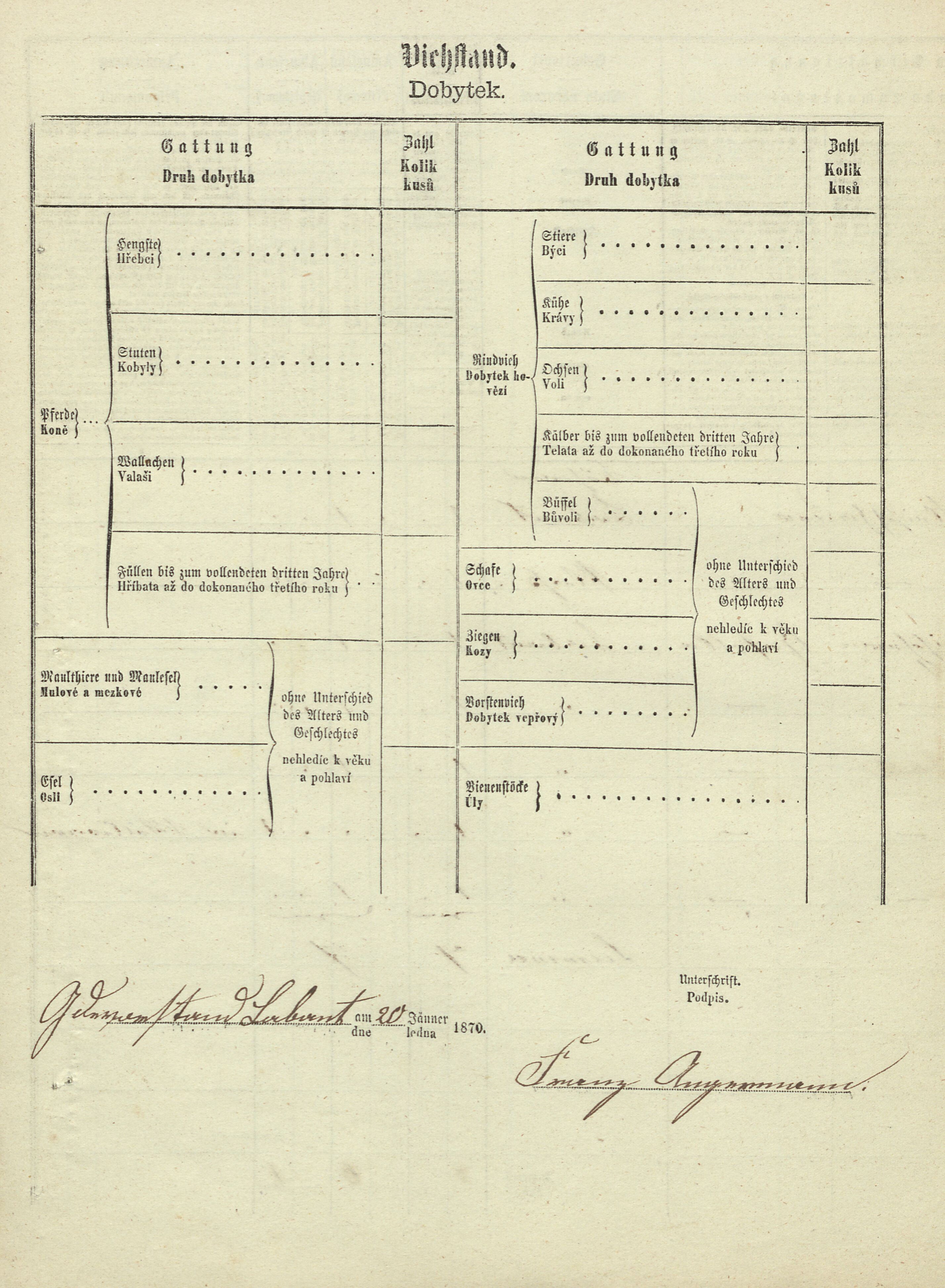 3. soap-tc_00192_census-1869-labut-rimcp004_0030