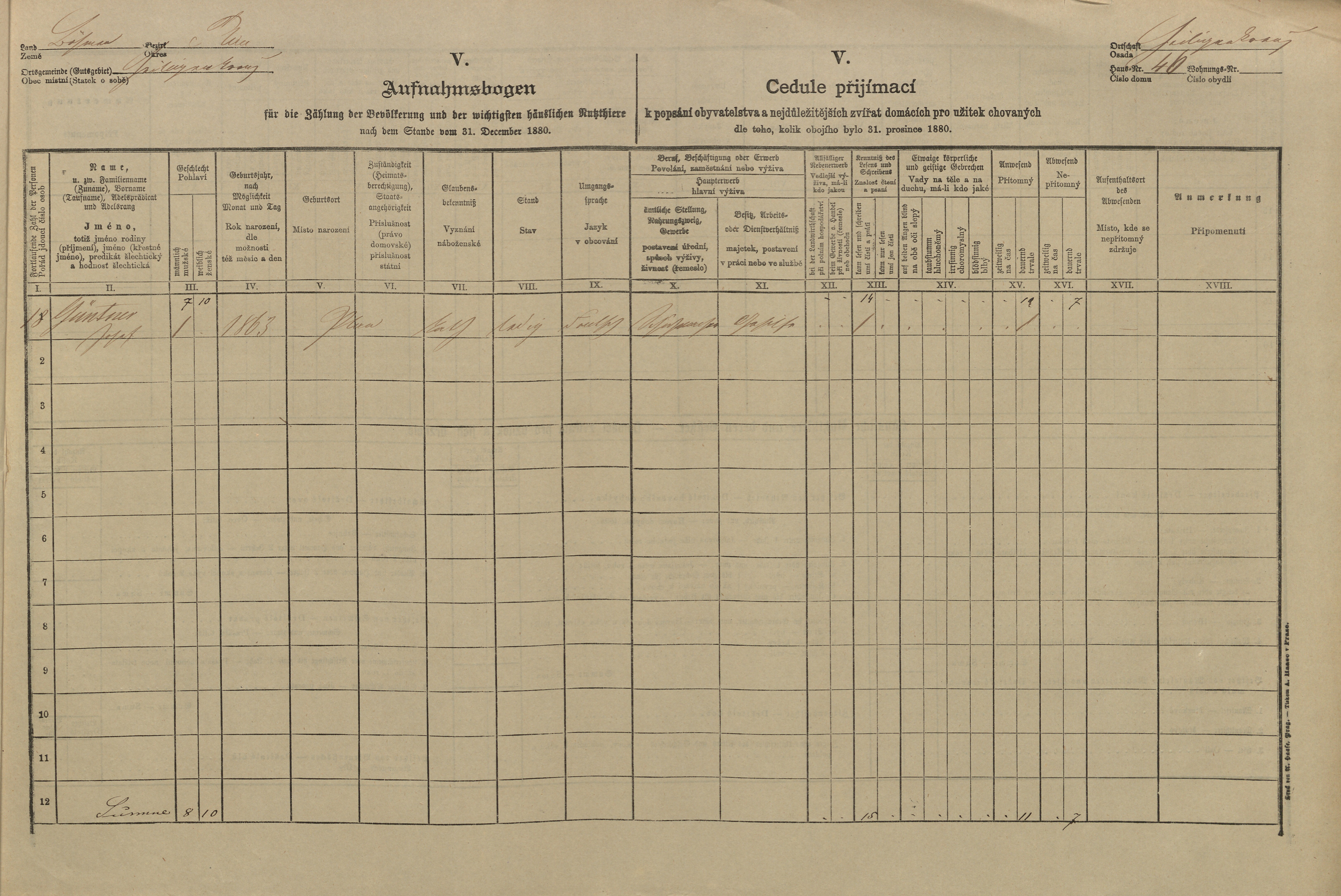 3. soap-tc_00191_census-1880-chodsky-ujezd-cp046_0030