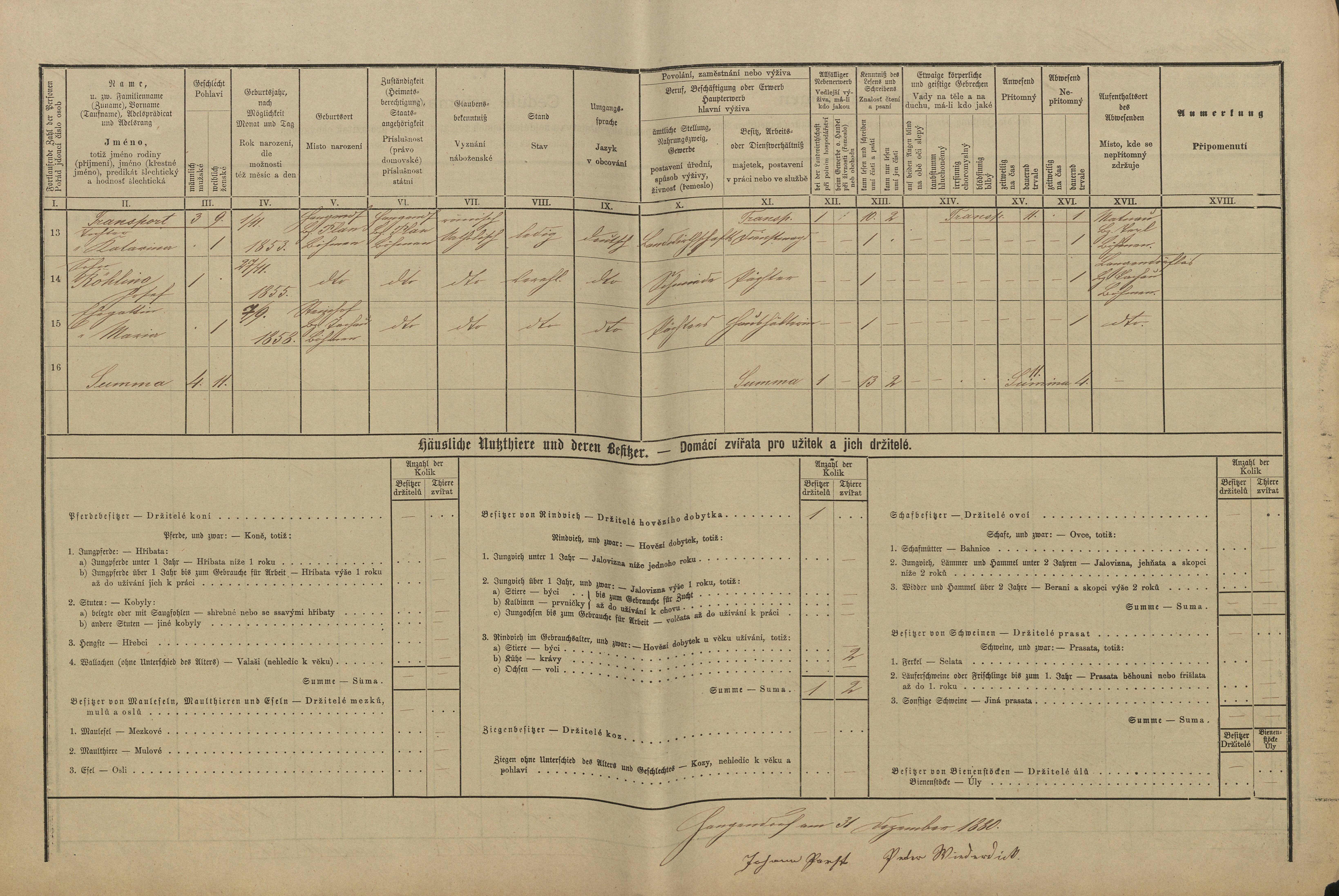 2. soap-tc_00191_census-1880-svahy-cp015_0020