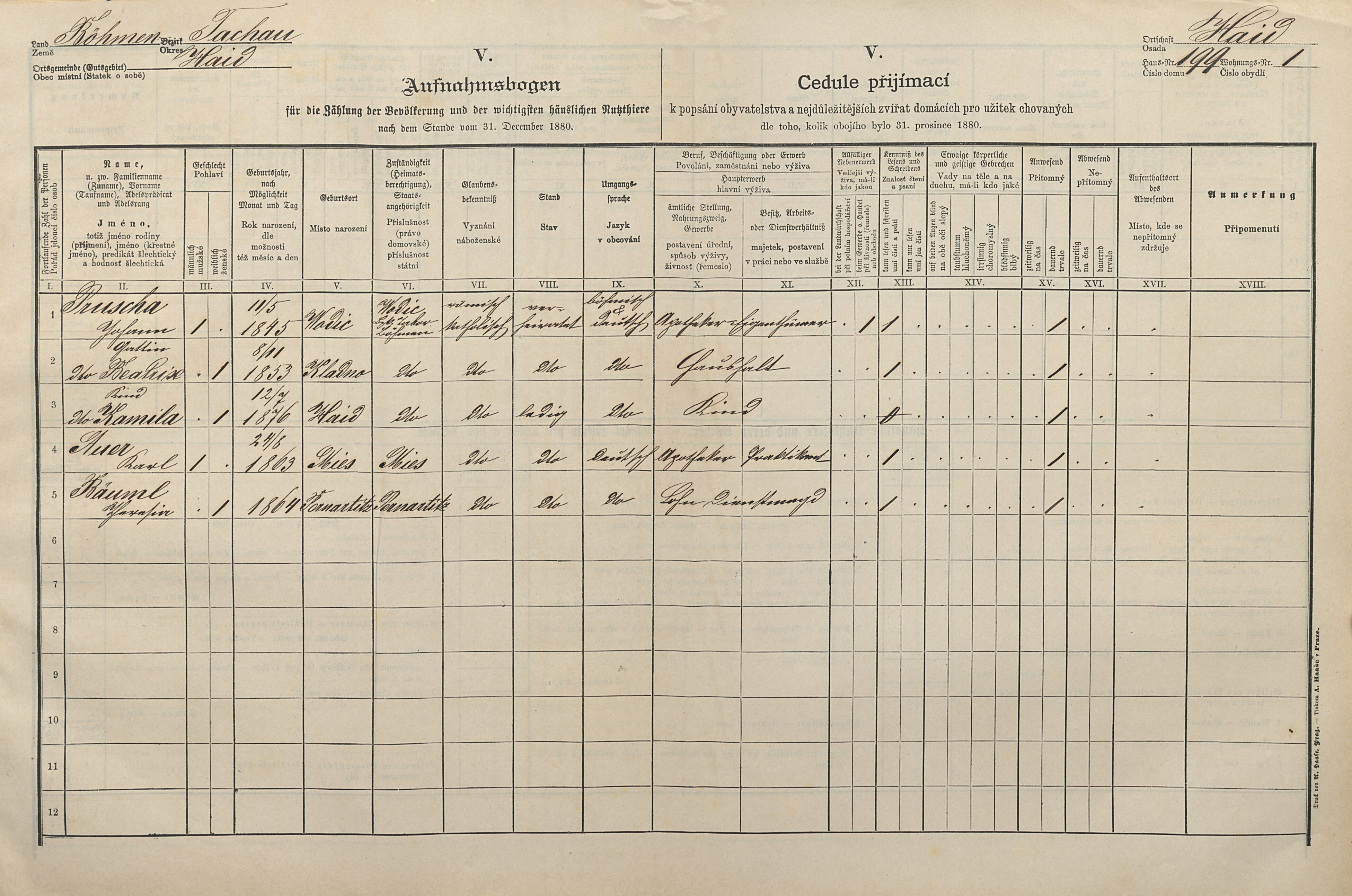 1. soap-tc_00192_census-1880-bor-cp199_0010