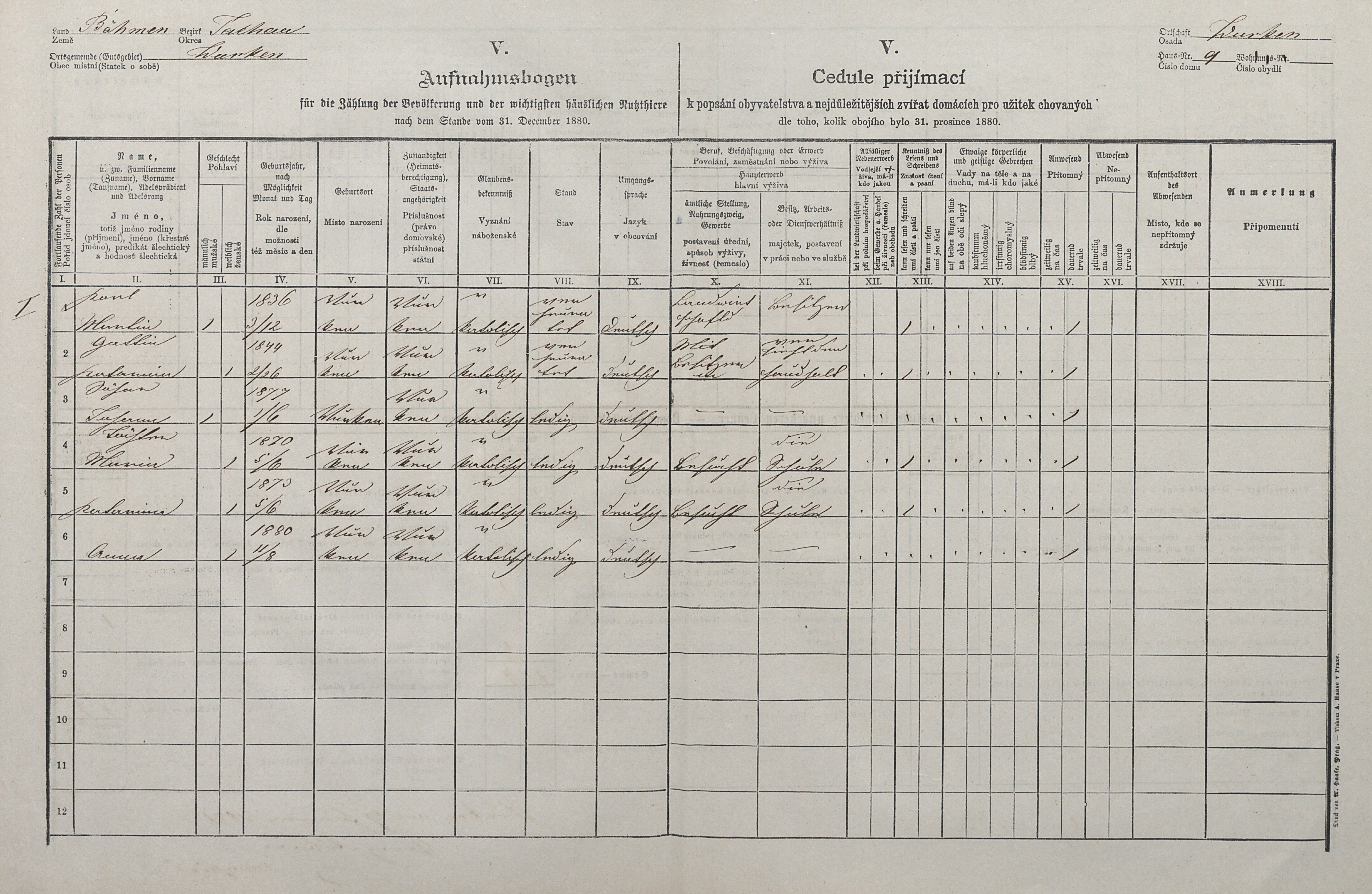 1. soap-tc_00192_census-1880-borek-cp009_0010