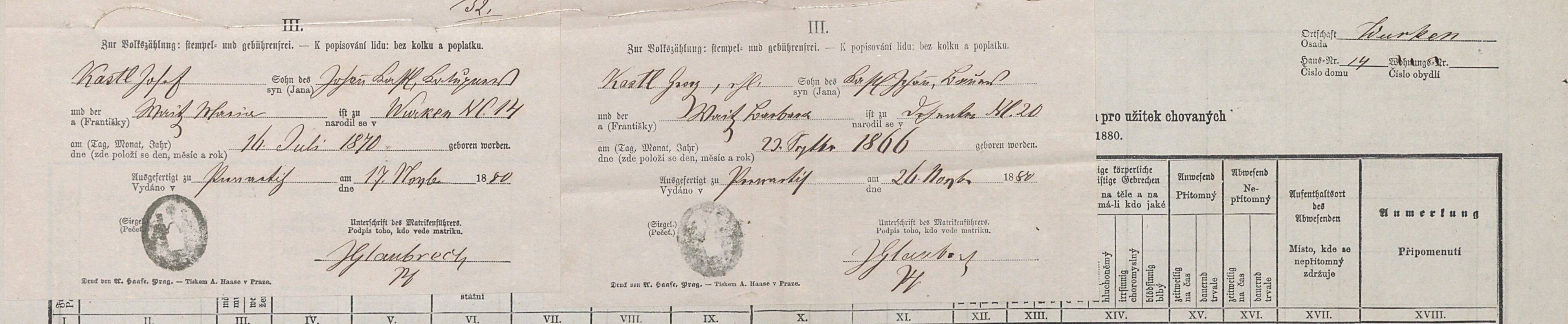 2. soap-tc_00192_census-1880-borek-cp014_0020