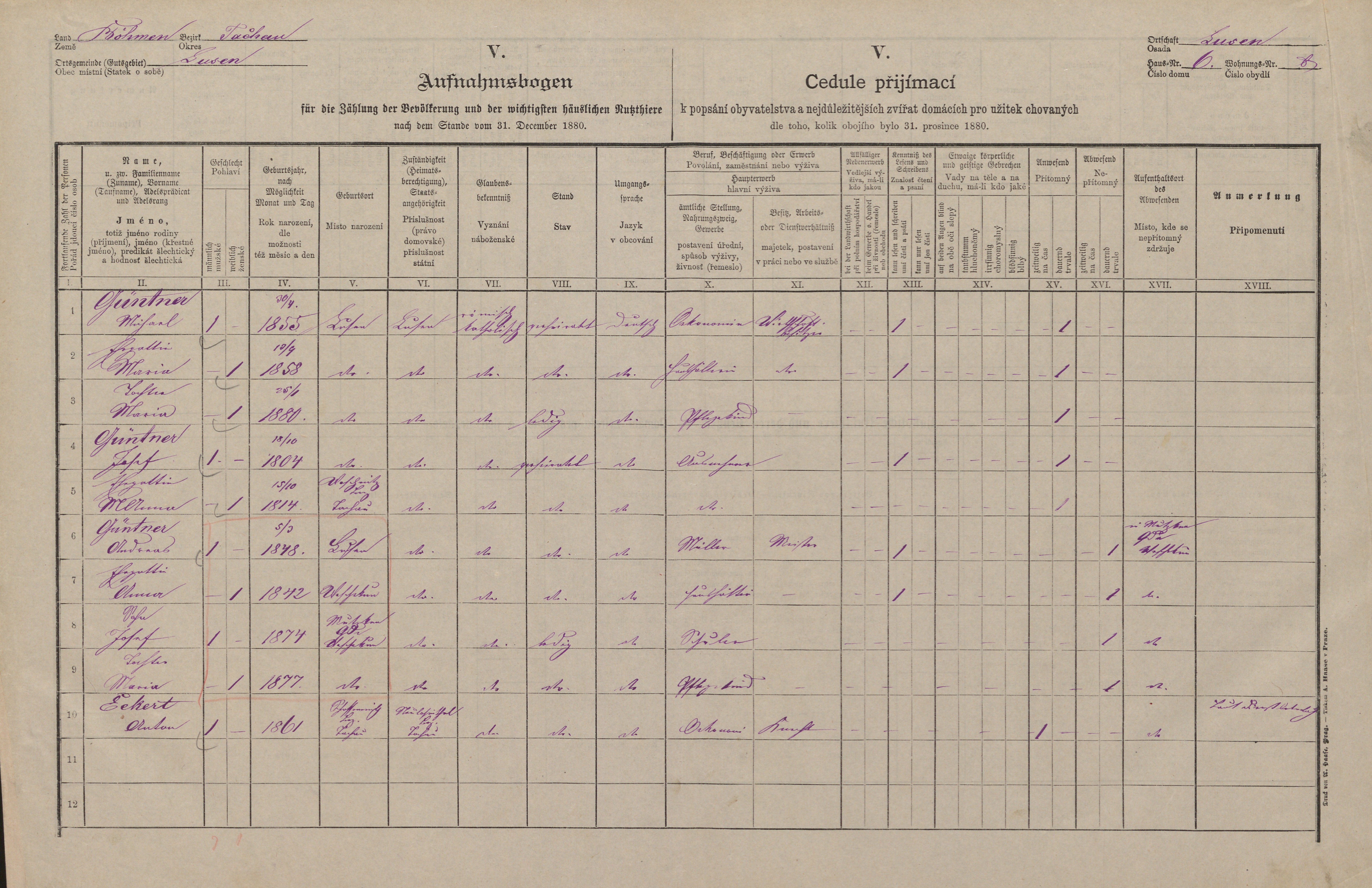 1. soap-tc_00192_census-1880-luzna-cp006_0010