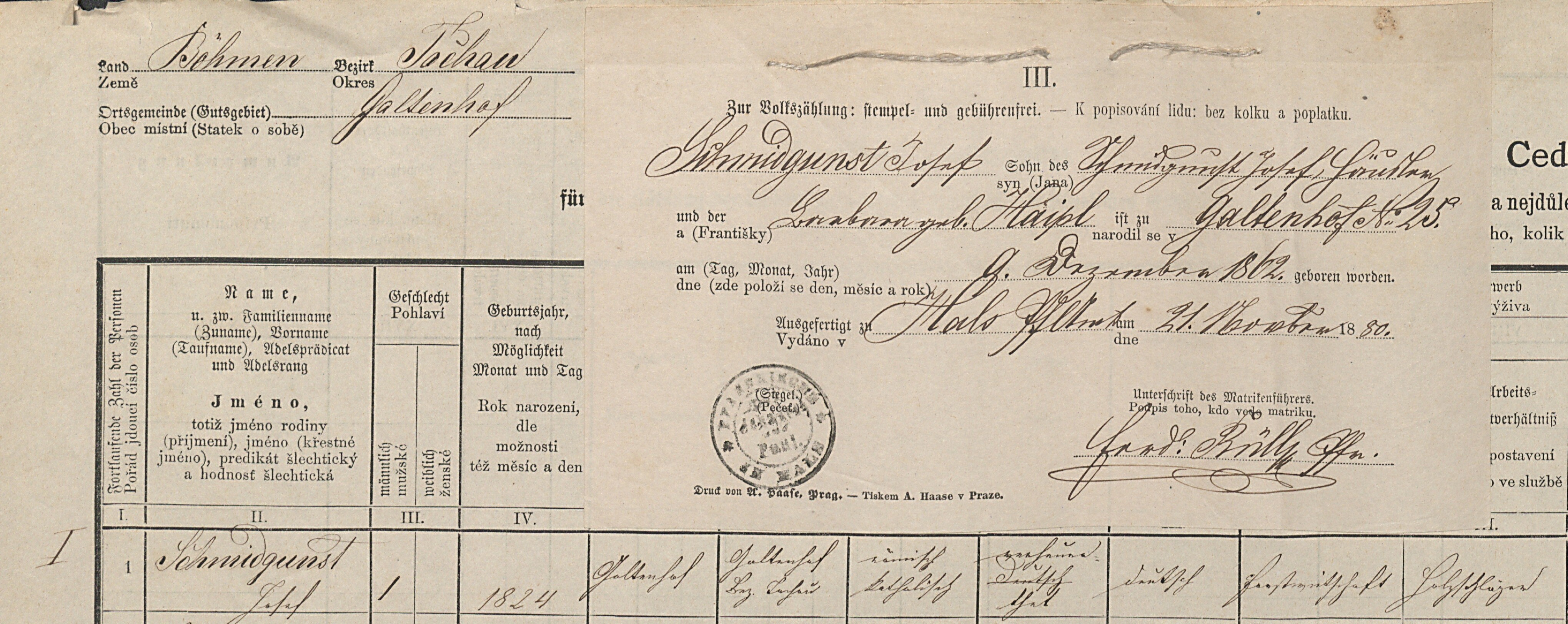 2. soap-tc_00192_census-1880-branka-cp025_0020