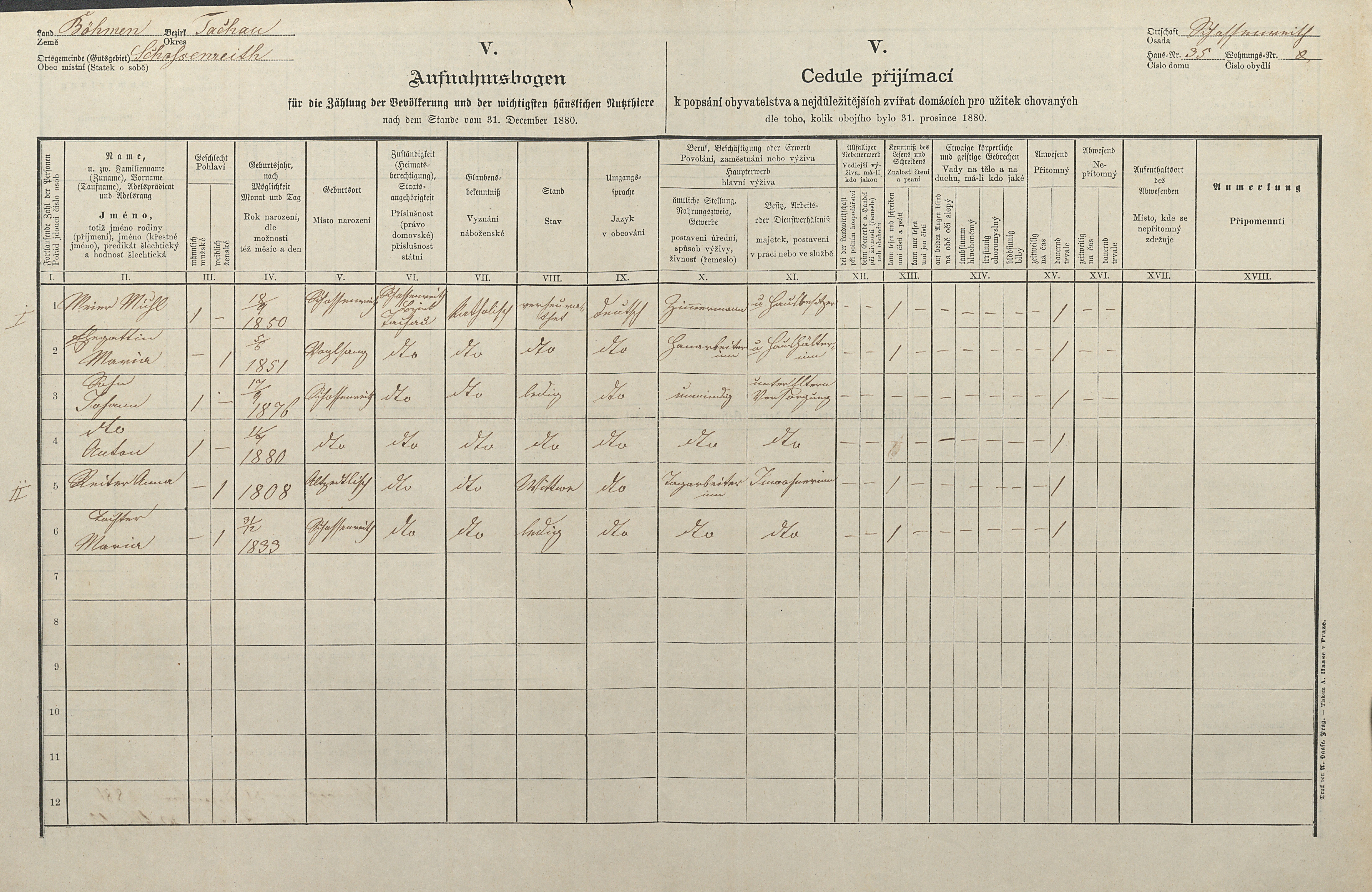 1. soap-tc_00192_census-1880-castkov-cp035_0010