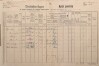 1. soap-pj_00302_census-1890-nepomuk-cp124_0010